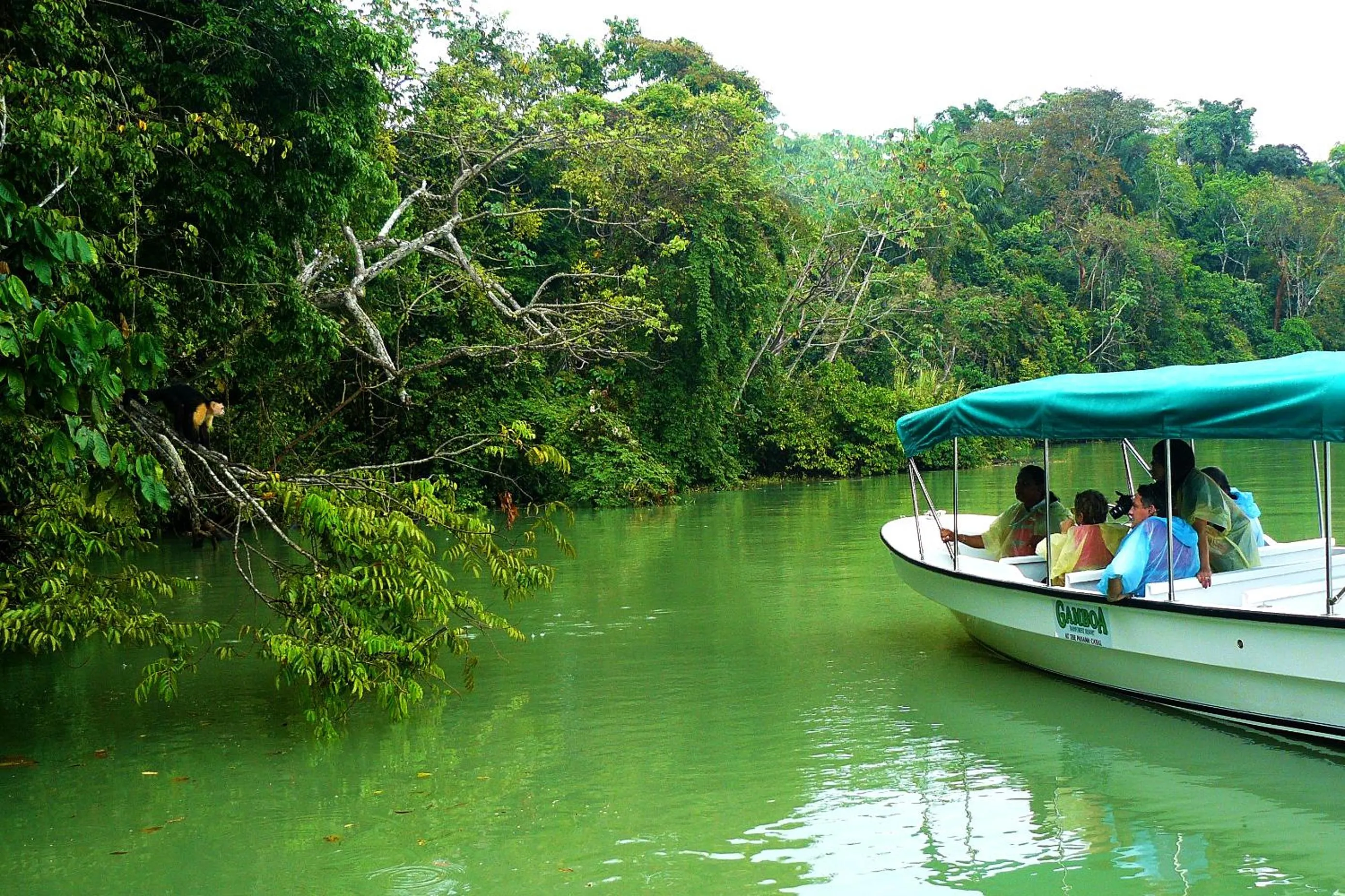 Activities in Gamboa Rainforest Reserve