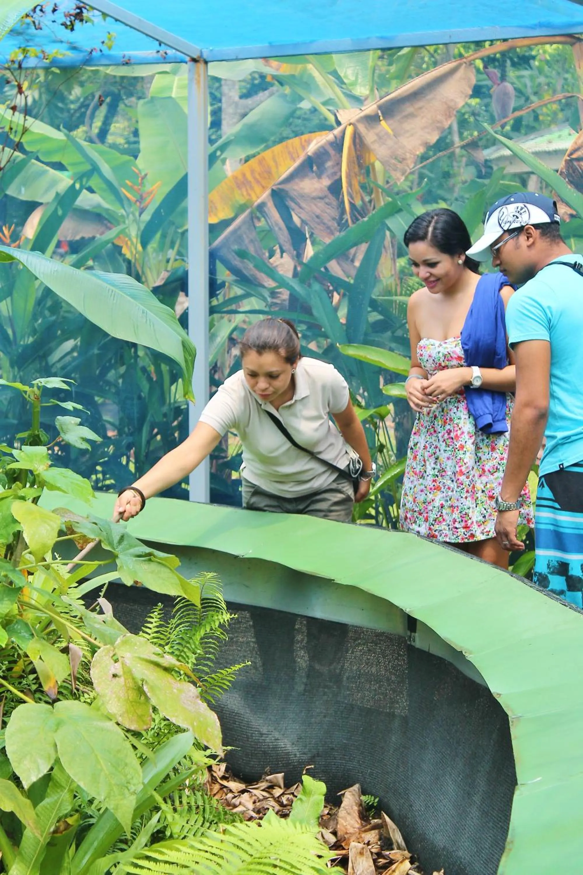 Animals in Gamboa Rainforest Reserve