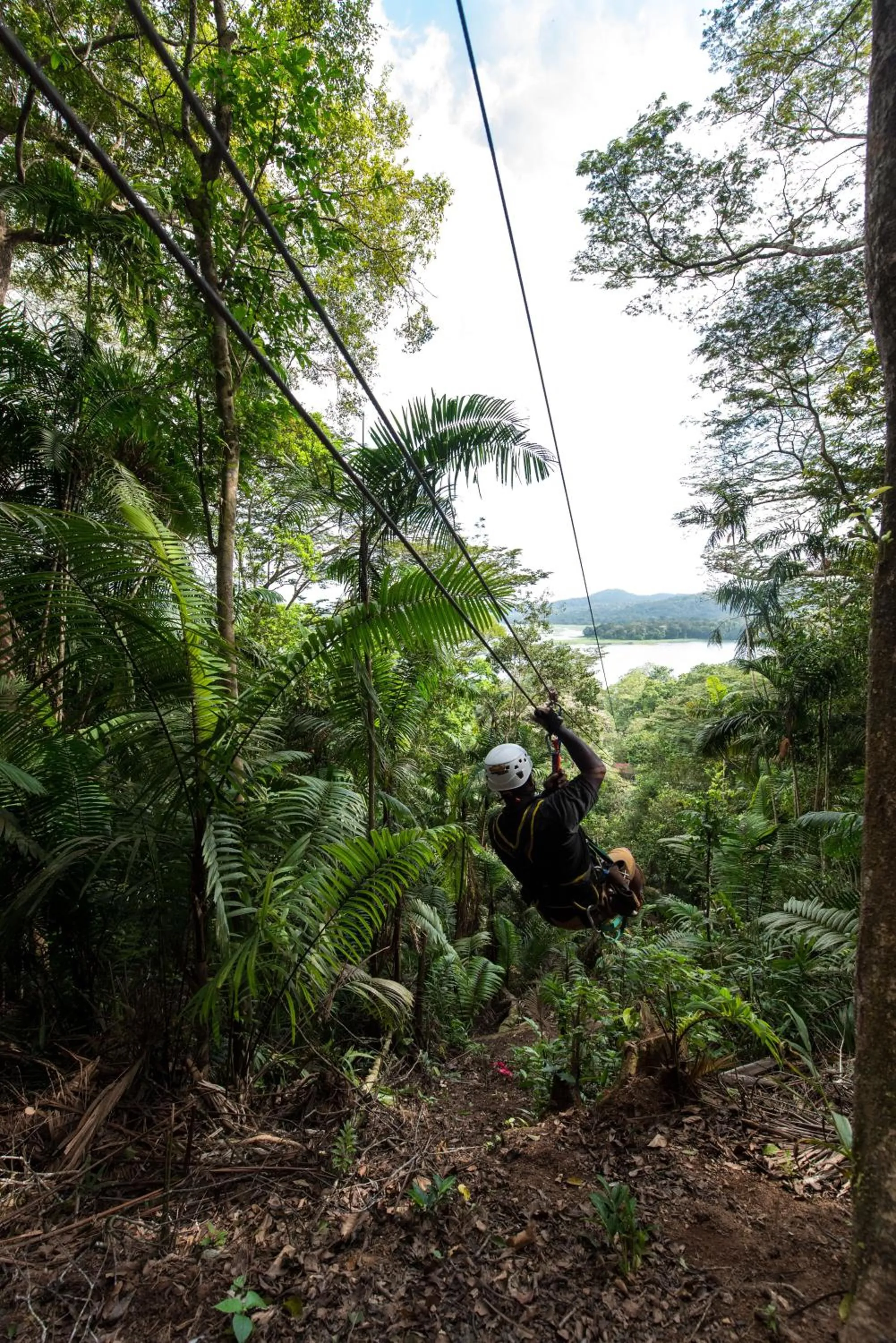 Natural landscape in Gamboa Rainforest Reserve