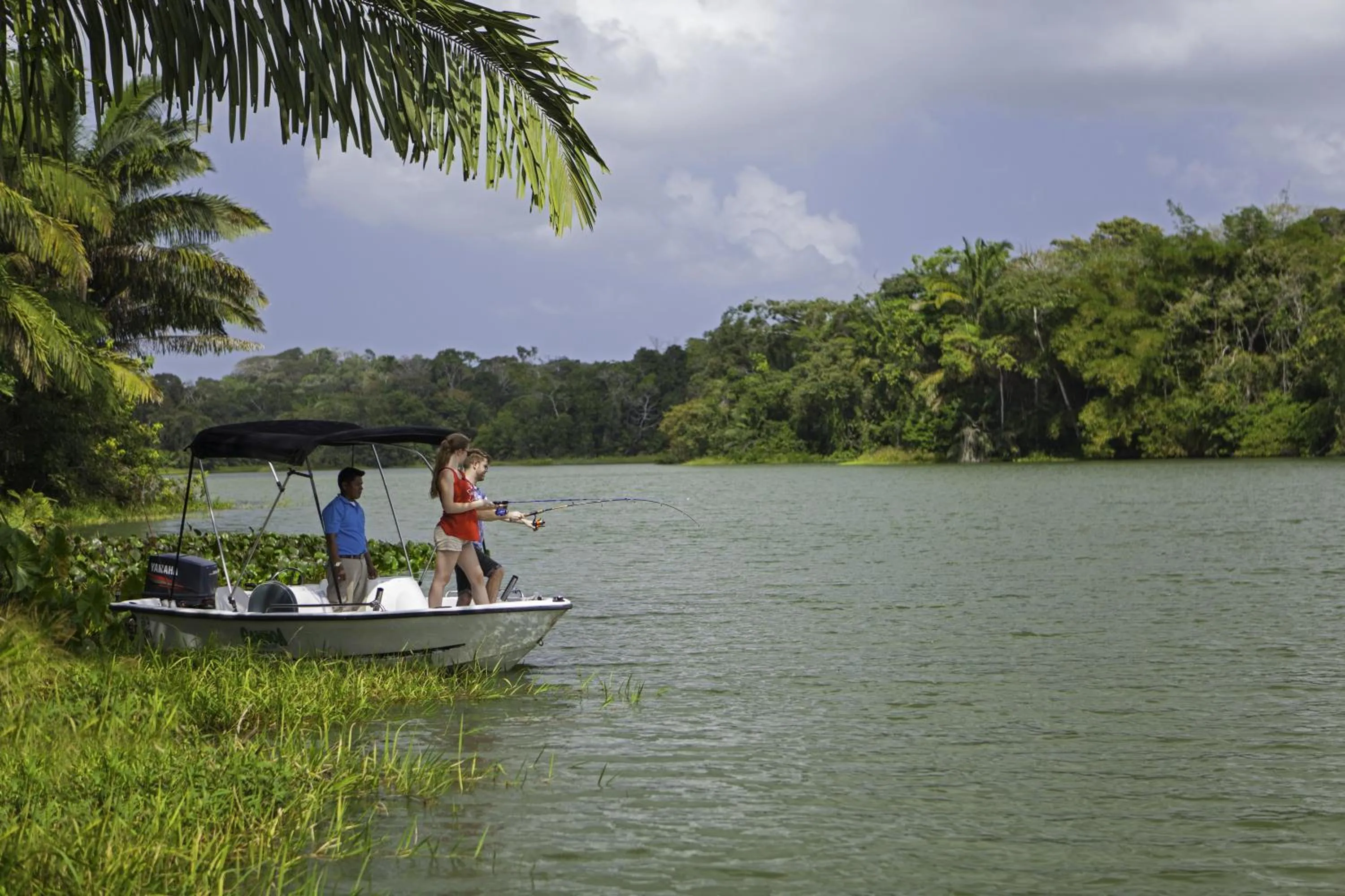 Facade/entrance in Gamboa Rainforest Reserve