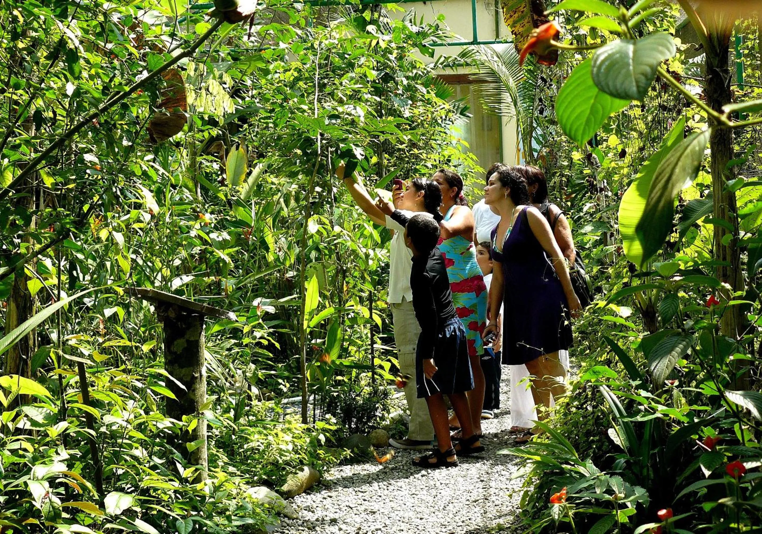 Facade/entrance in Gamboa Rainforest Reserve