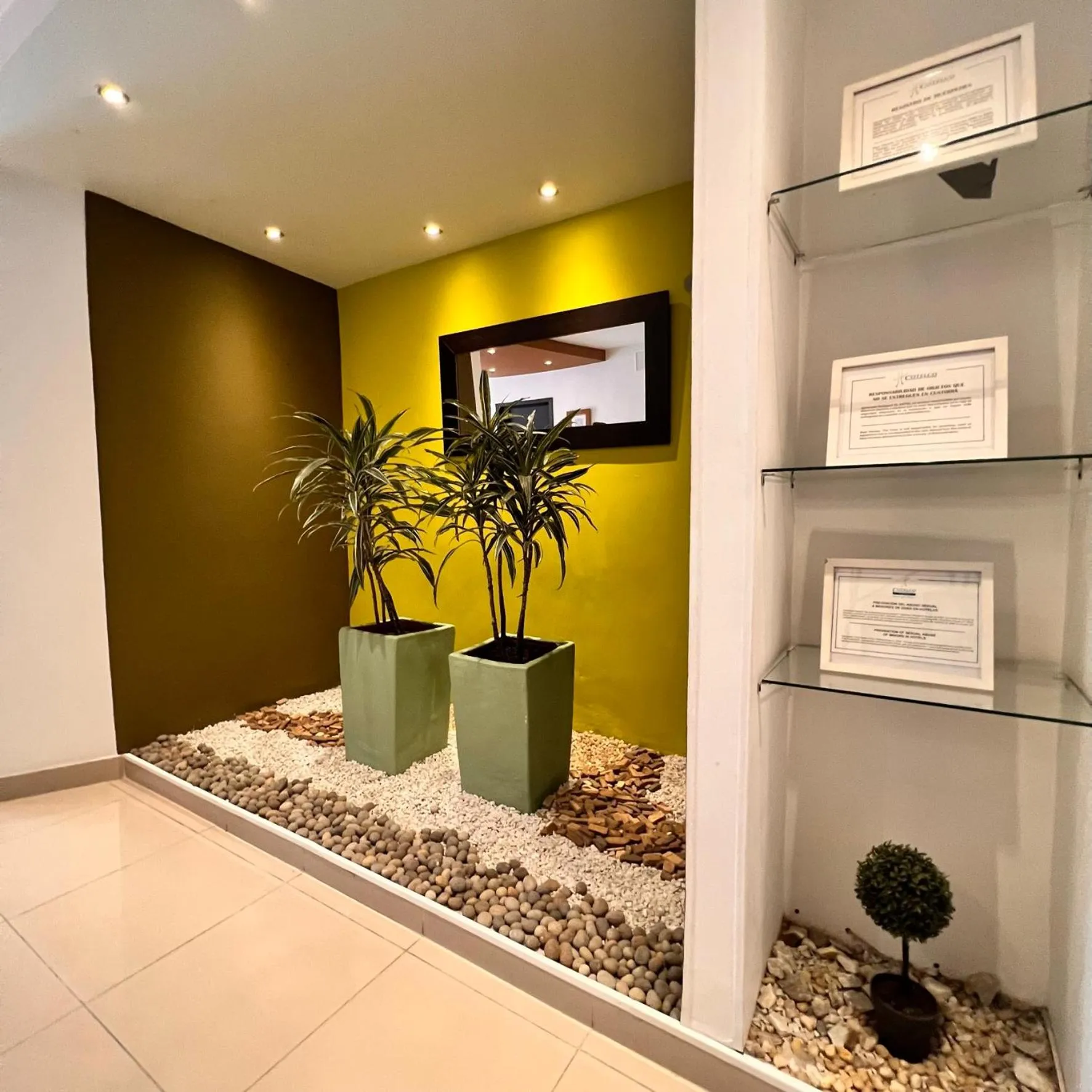 Area and facilities in Hotel Volare