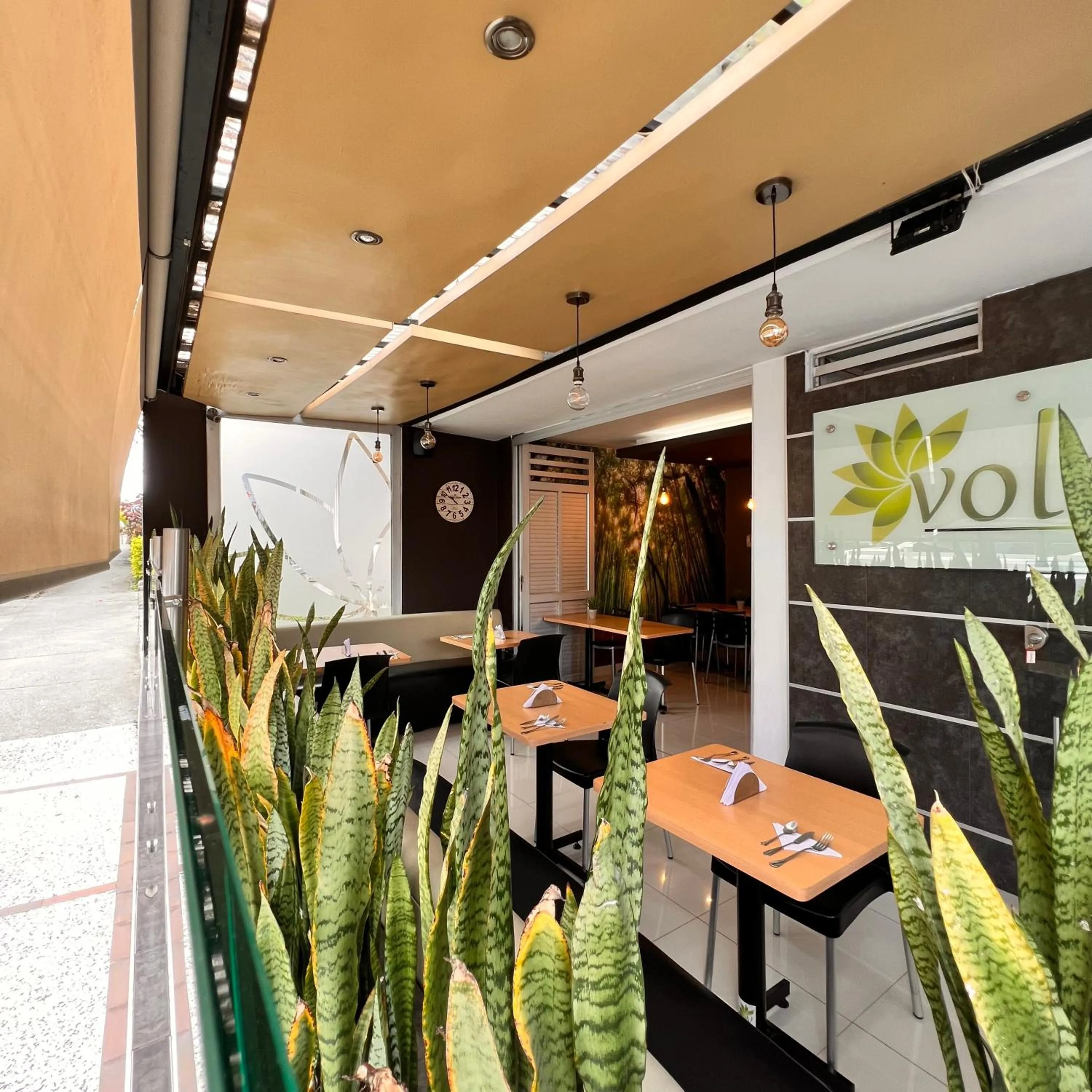 Restaurant/places to eat in Hotel Volare
