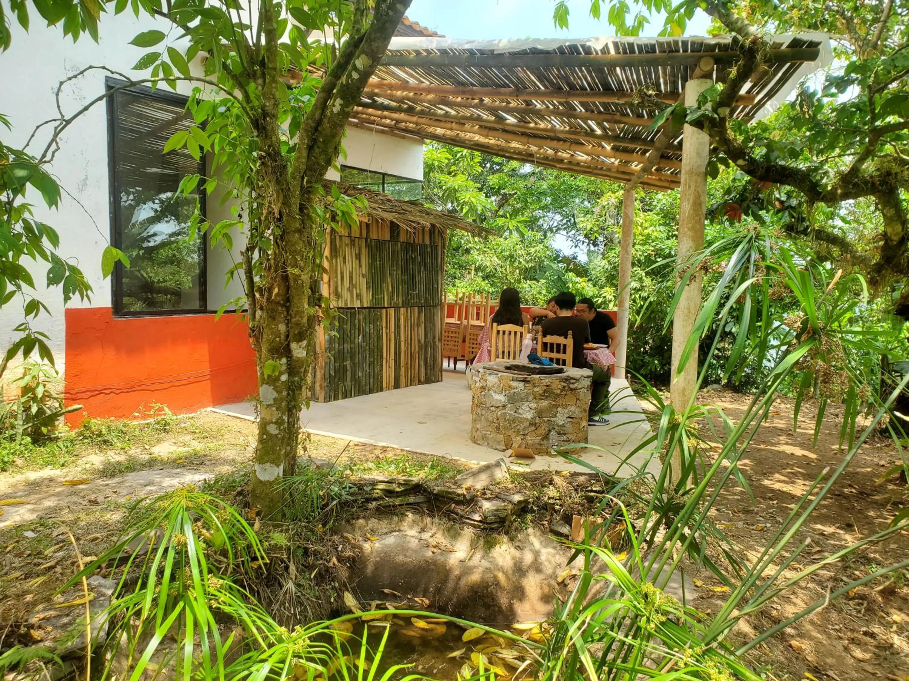 Kitchen or kitchenette in Hospedaje Totalmanik