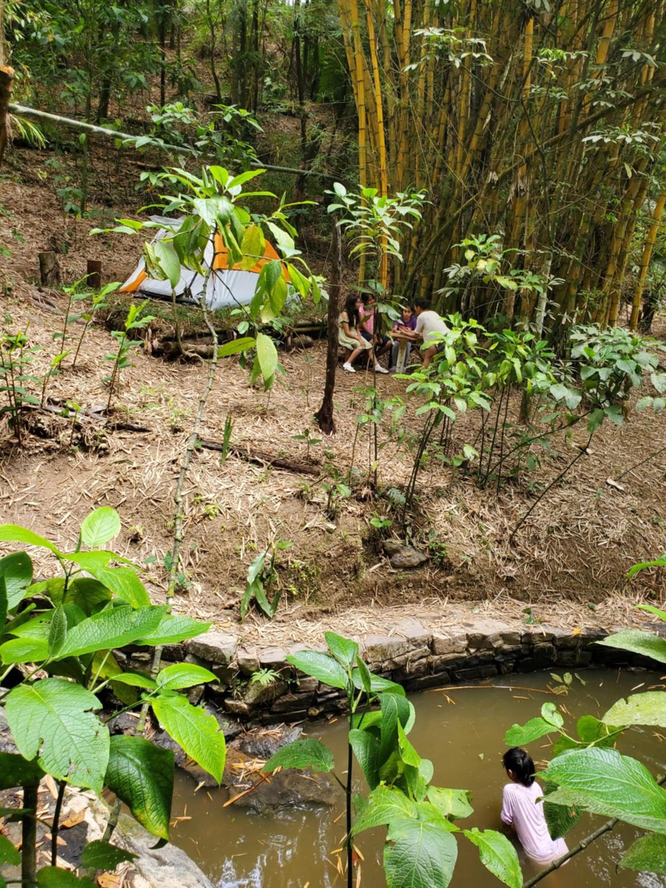 Hospedaje Totalmanik