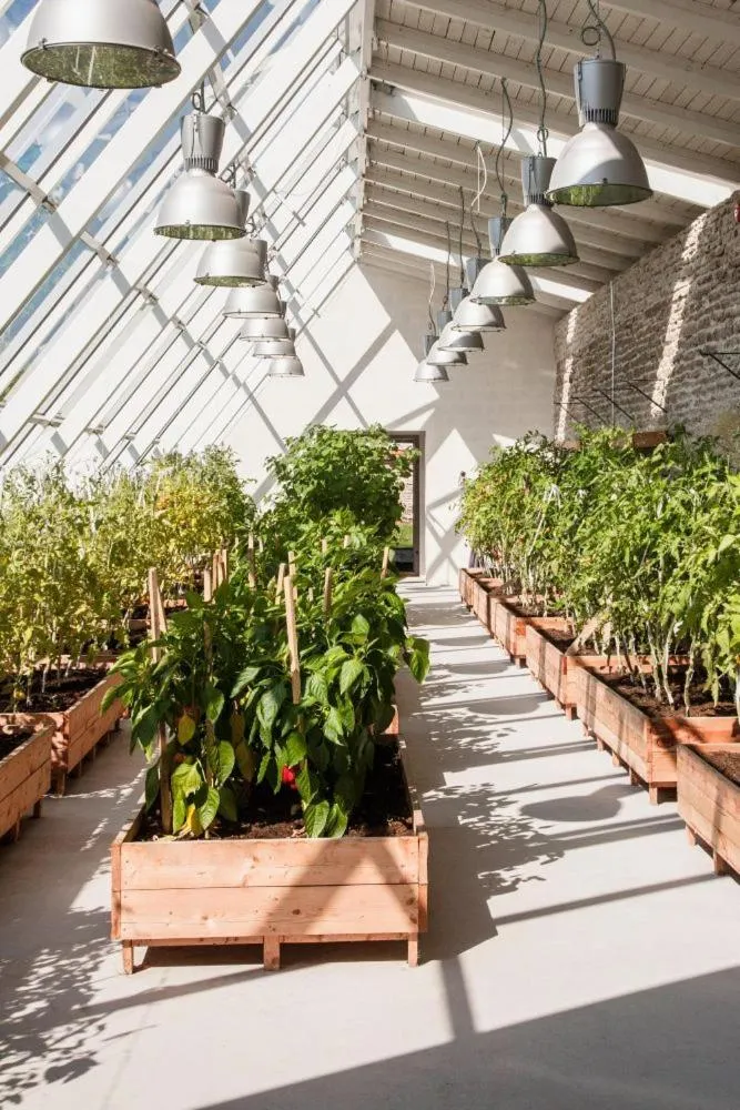 Day in Vihula Manor Country Club & Spa