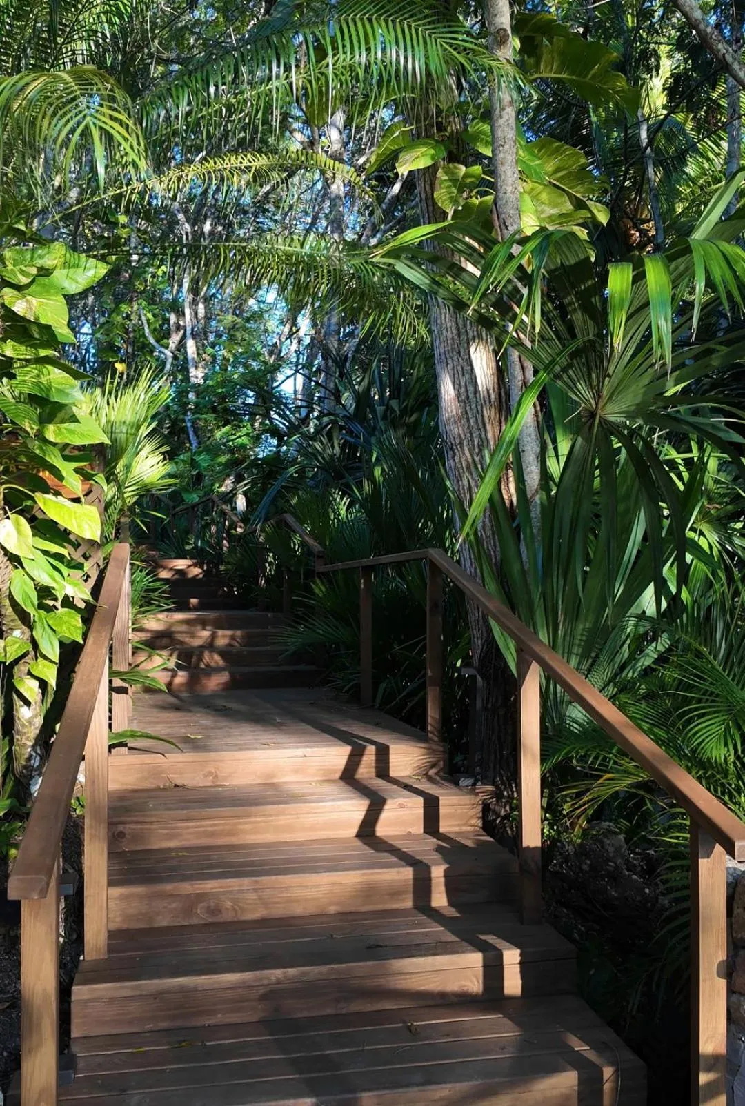 Garden in Las Lagunas Boutique Hotel