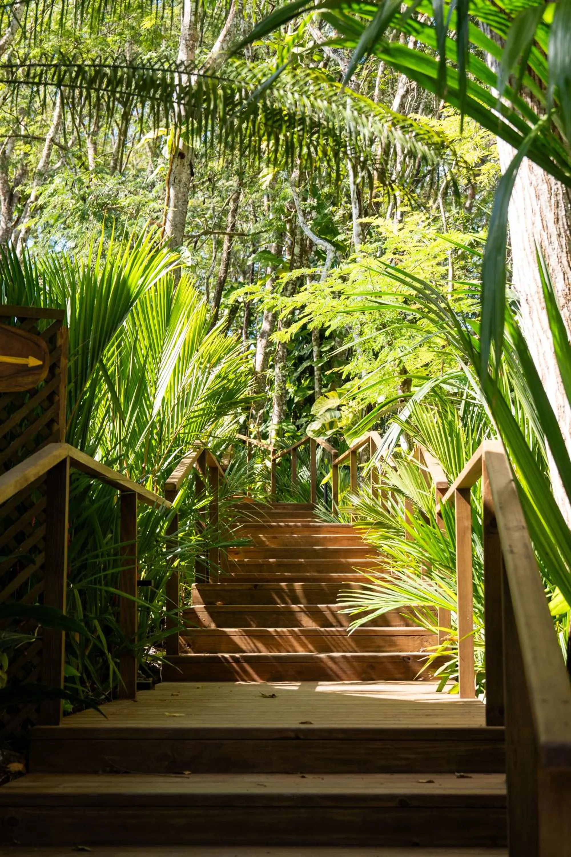 Garden in Las Lagunas Boutique Hotel