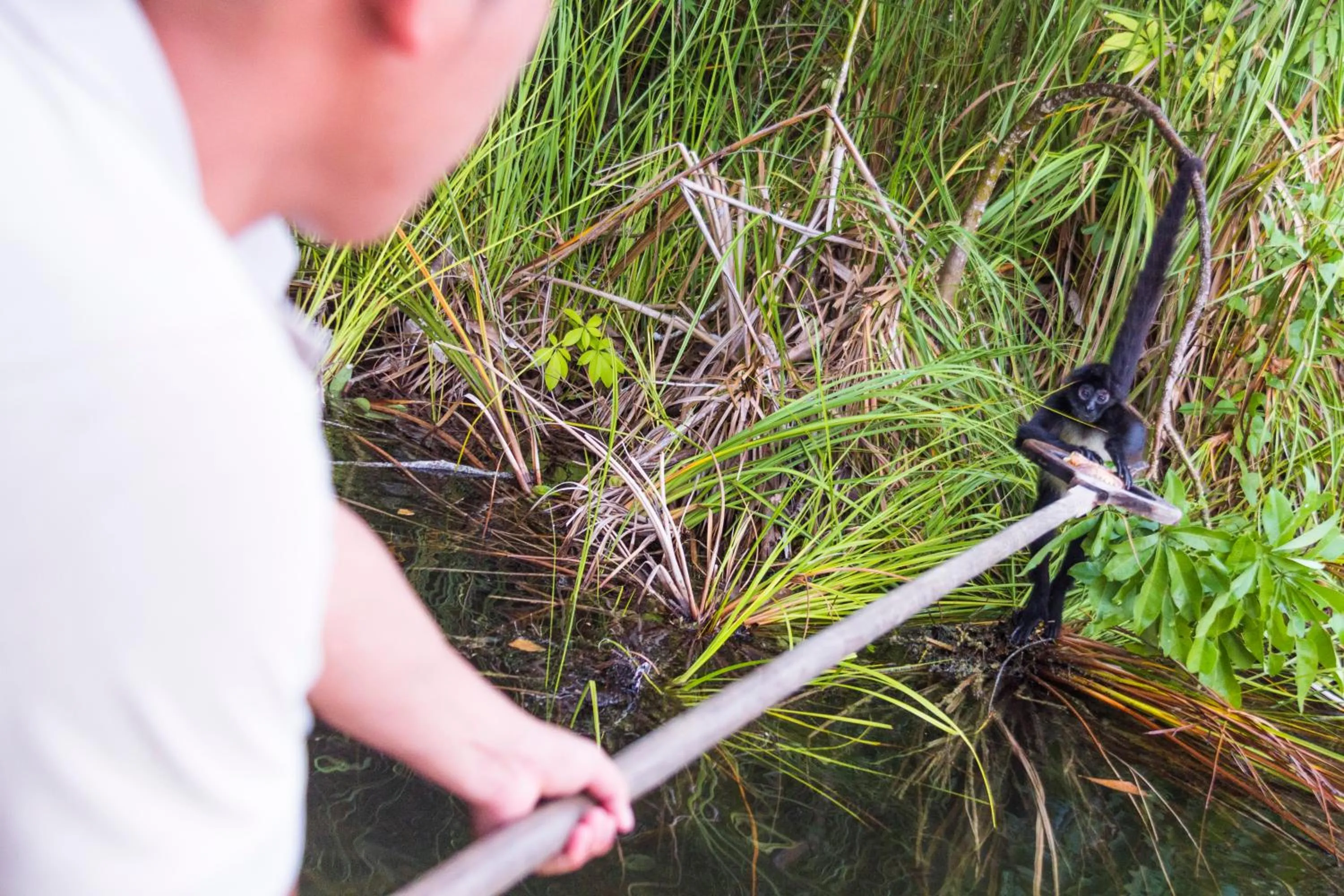 Activities in Las Lagunas Boutique Hotel