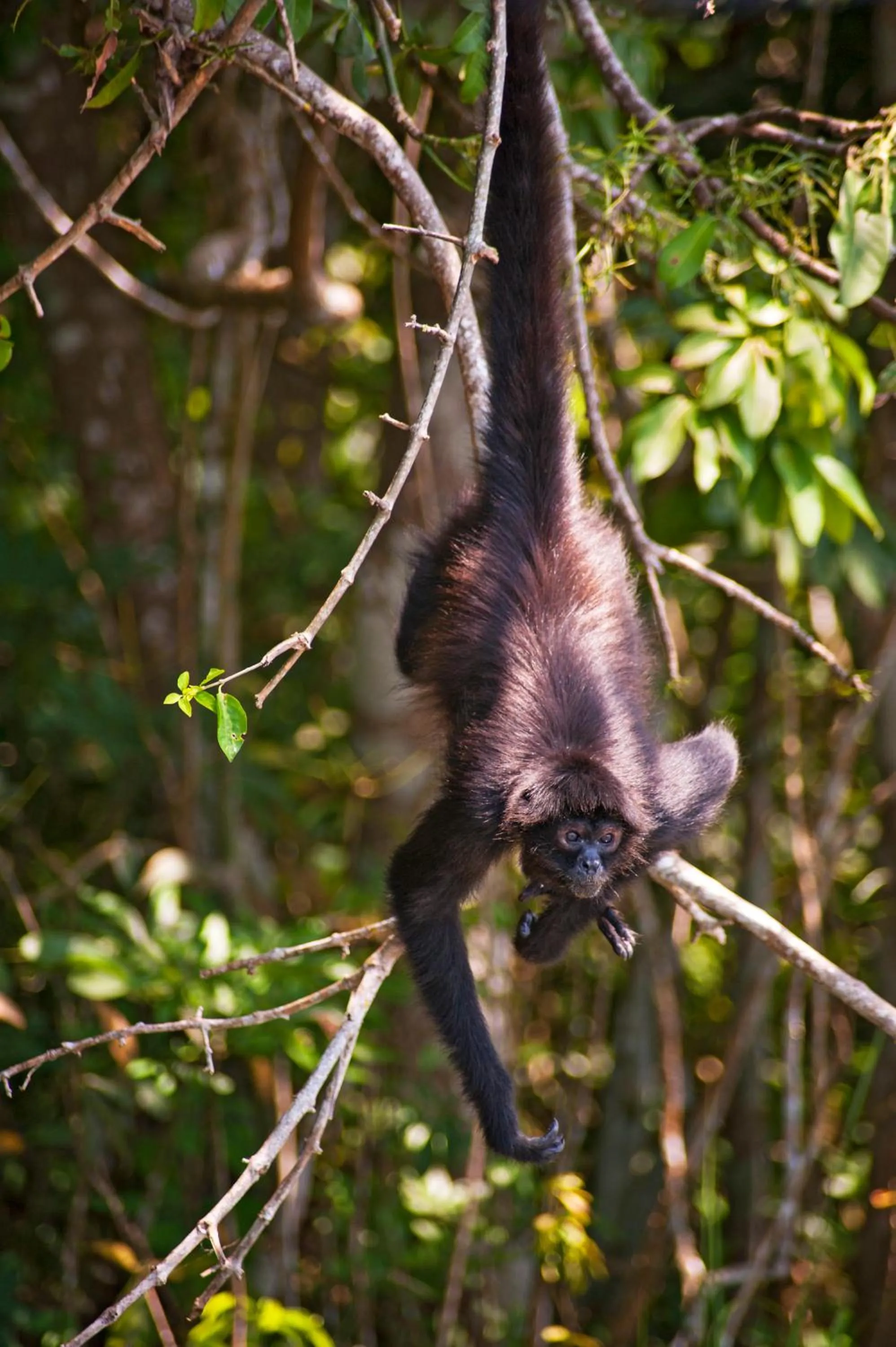 Other in Las Lagunas Boutique Hotel