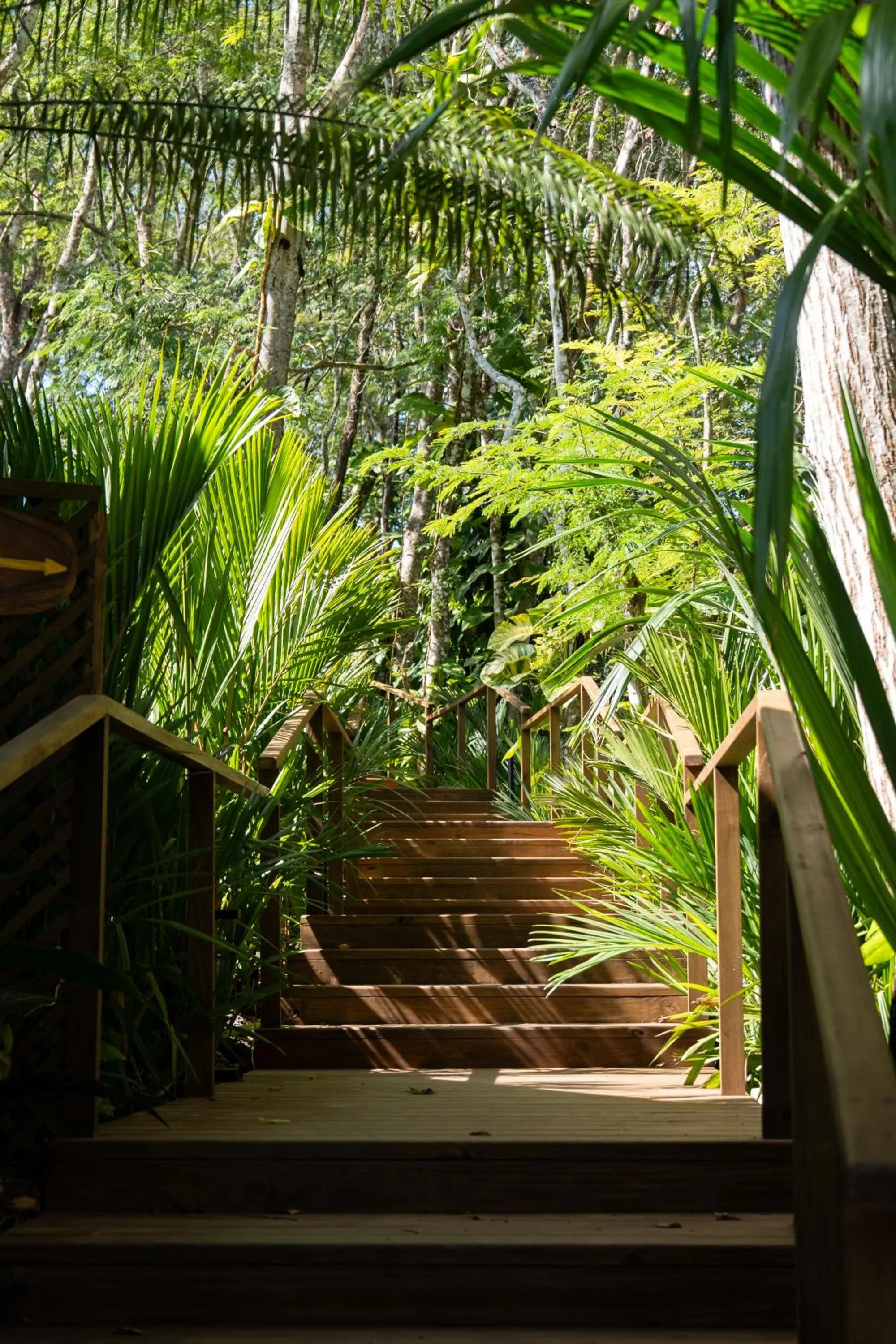 Garden in Las Lagunas Boutique Hotel