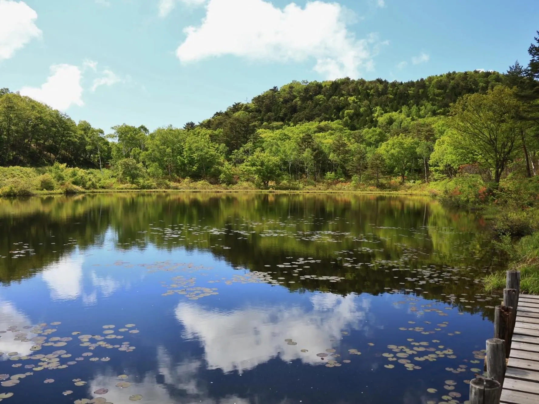 Natural landscape in Villa Alpen