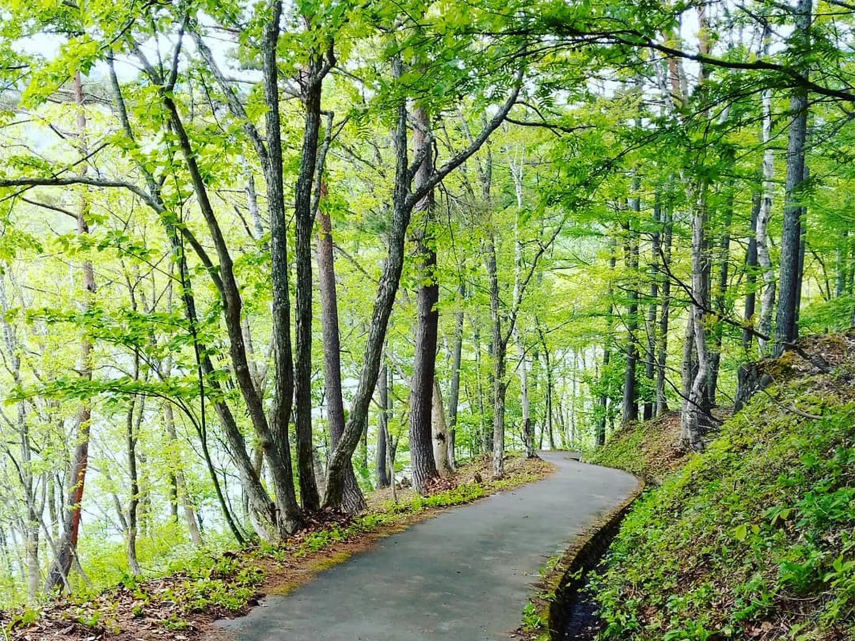 Hiking in Villa Alpen