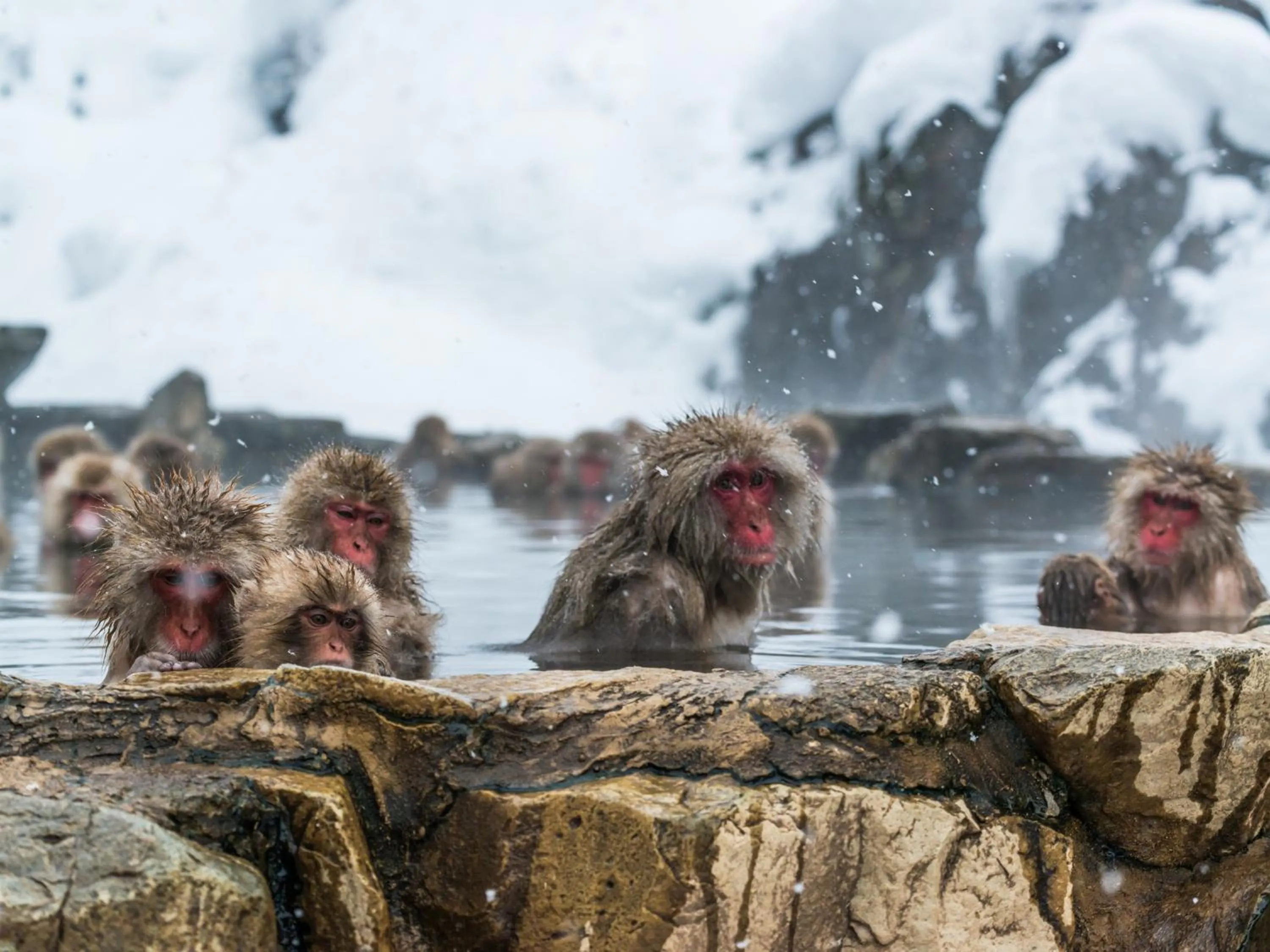 Winter in Villa Alpen