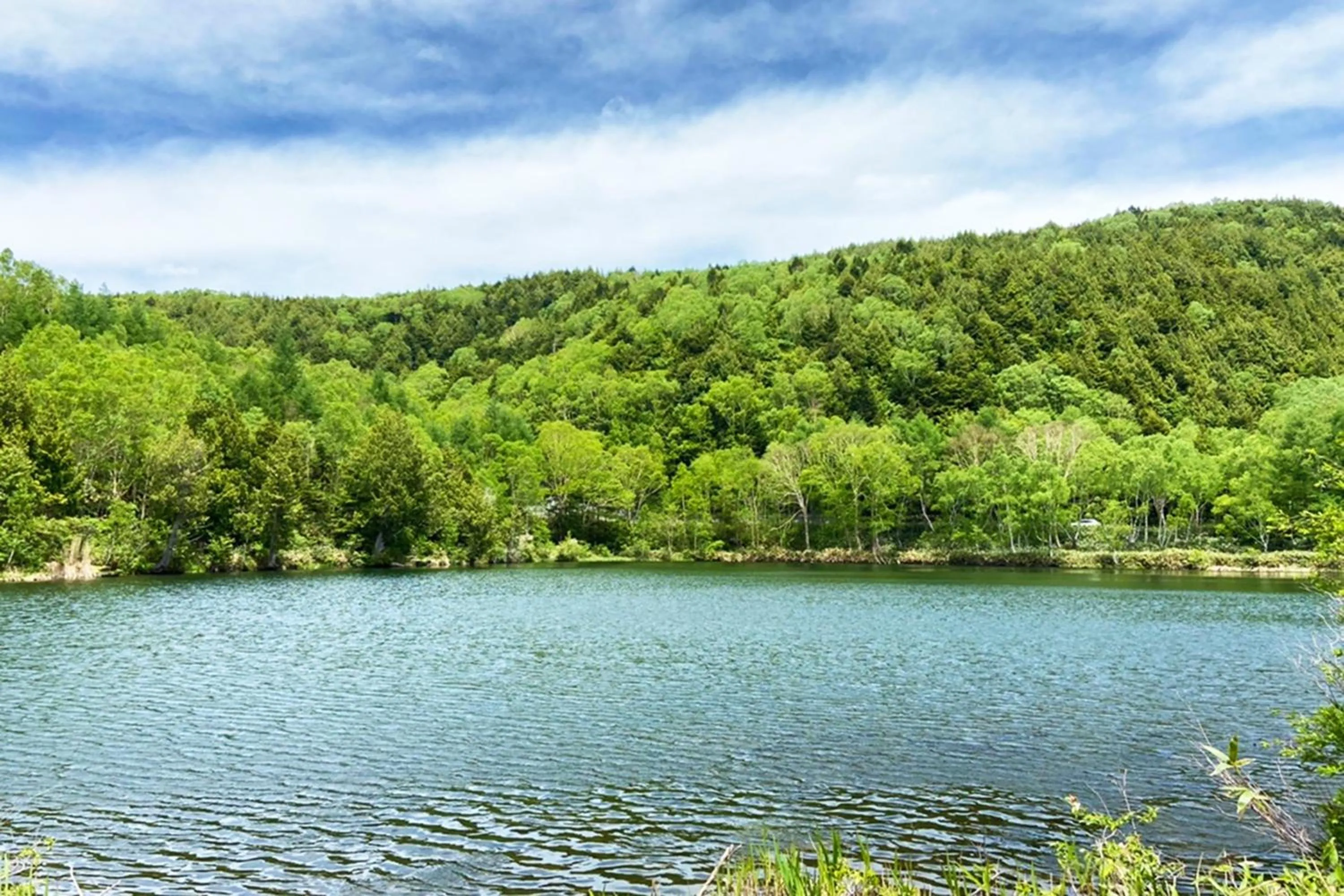 Nearby landmark in Villa Alpen