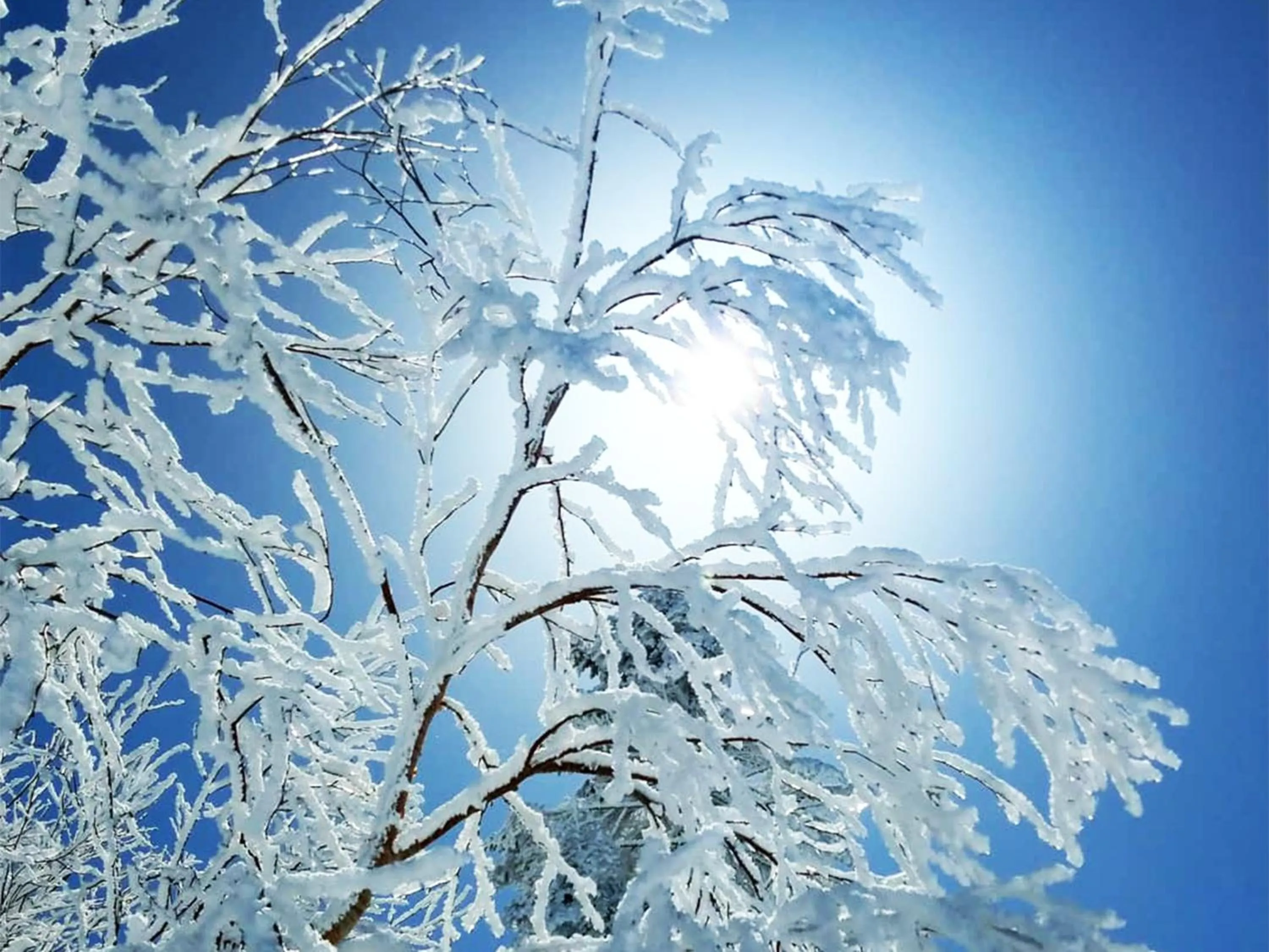 Natural landscape in Villa Alpen