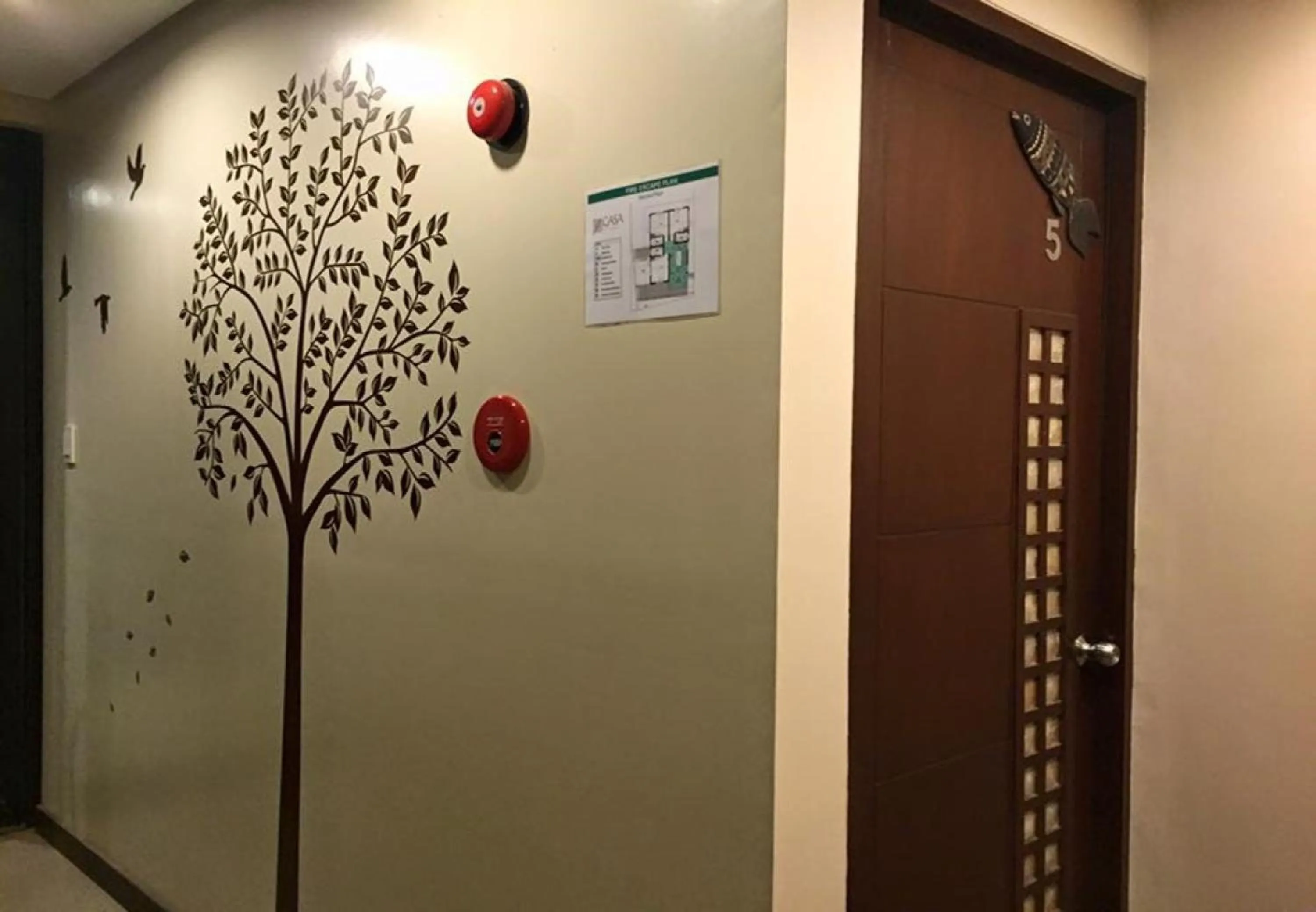 Area and facilities in Casa Coron Hotel