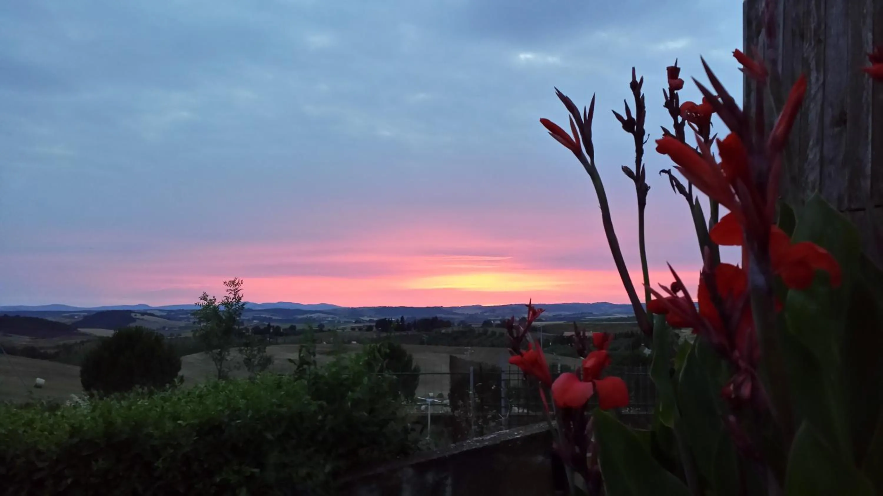 Garden view in Agriturismo Marruchetone Vecchio