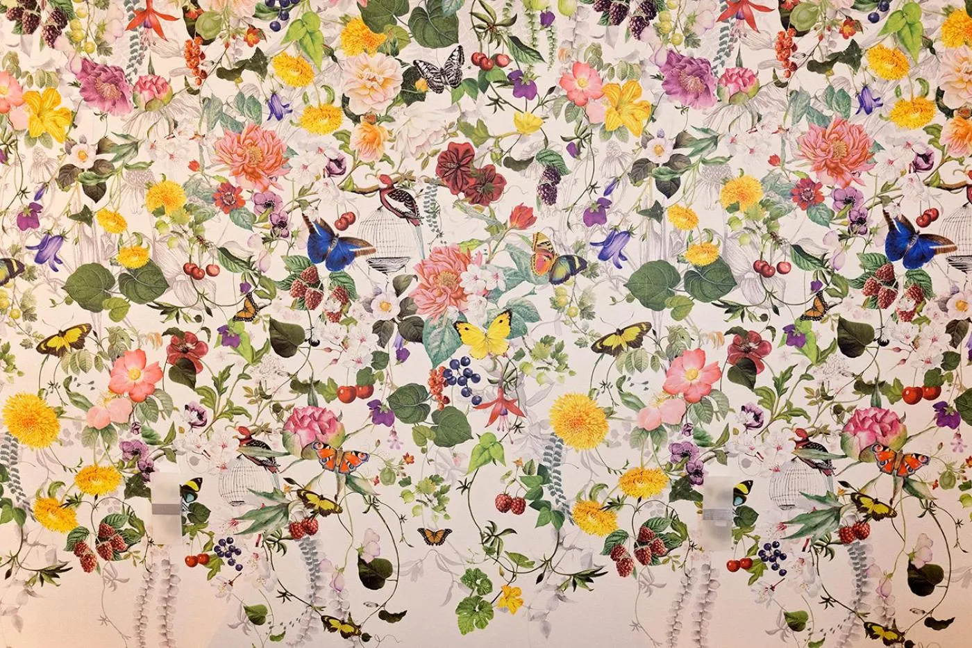 One-Bedroom Apartment (5 Adults) in Casa Bella Pantheon