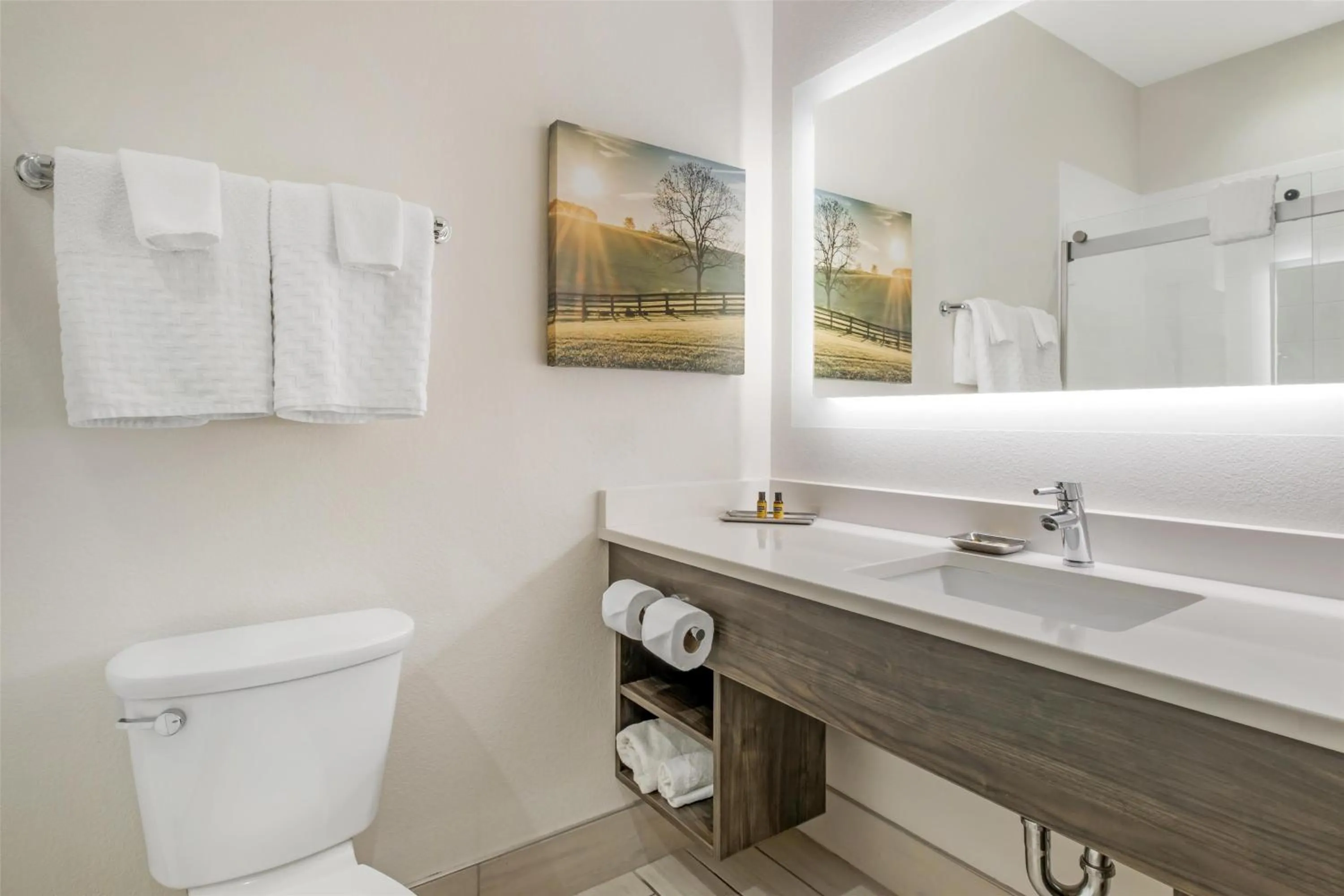 Bathroom in Best Western Plus Elizabethtown Inn & Suites