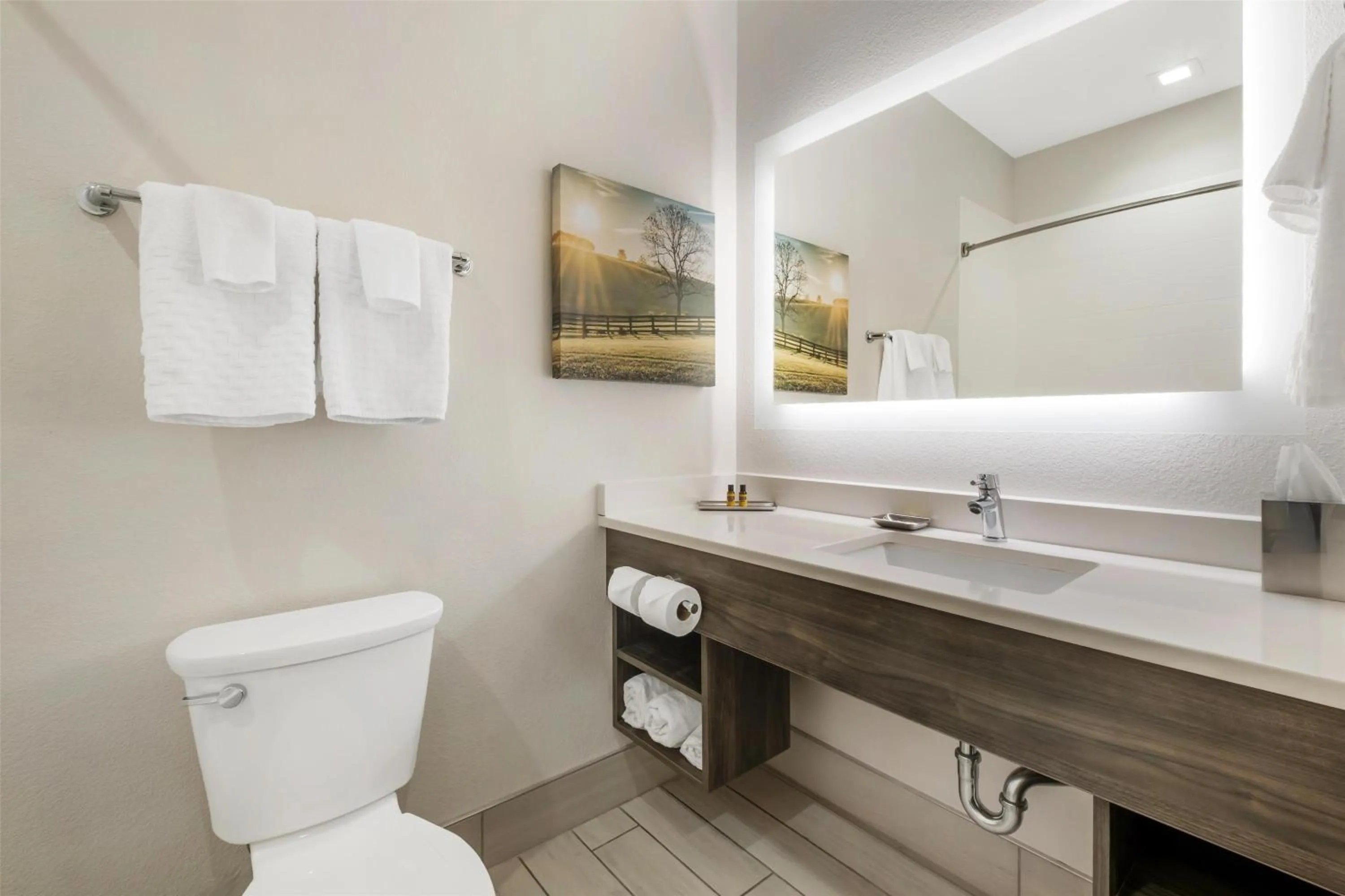 Bathroom in Best Western Plus Elizabethtown Inn & Suites