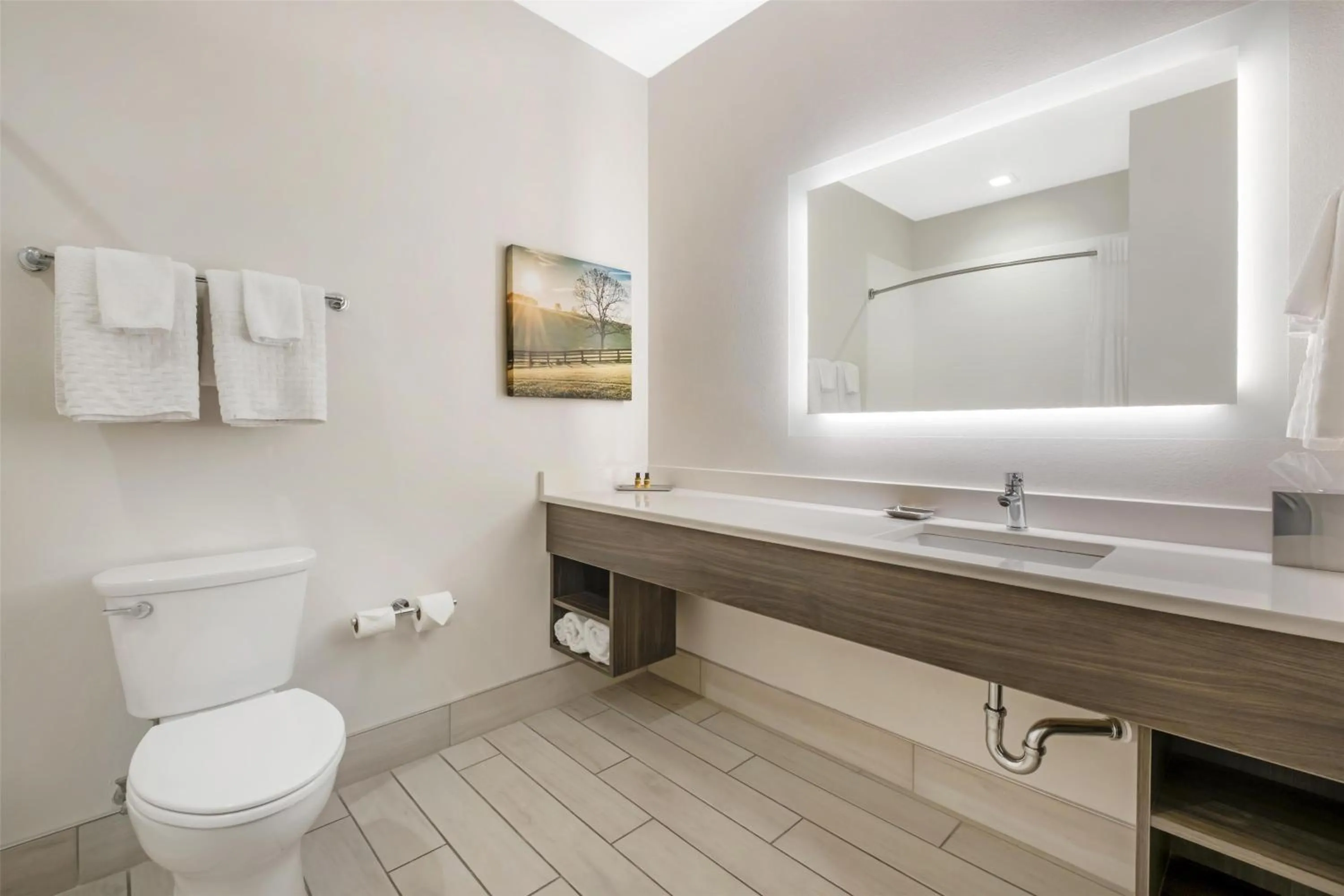 Bathroom in Best Western Plus Elizabethtown Inn & Suites