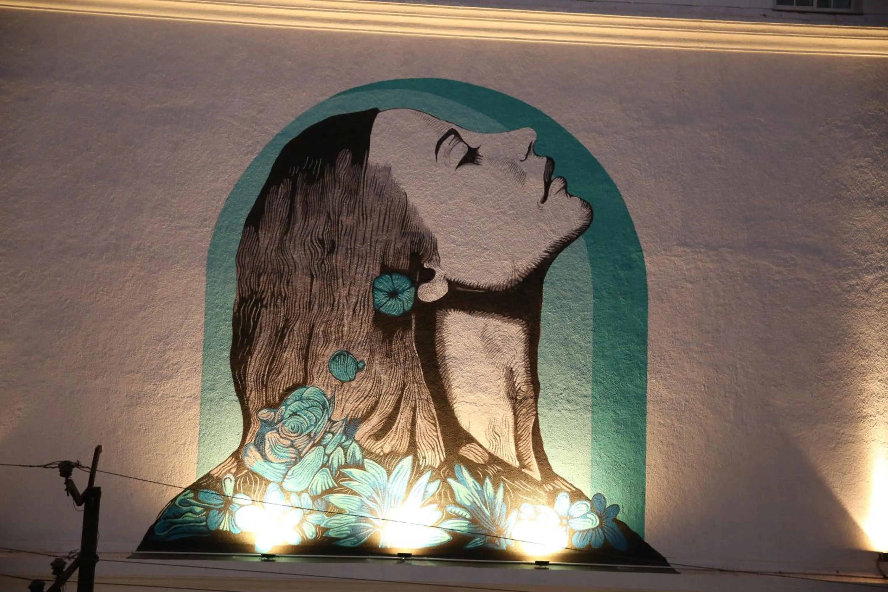 Street view in Villa Donna