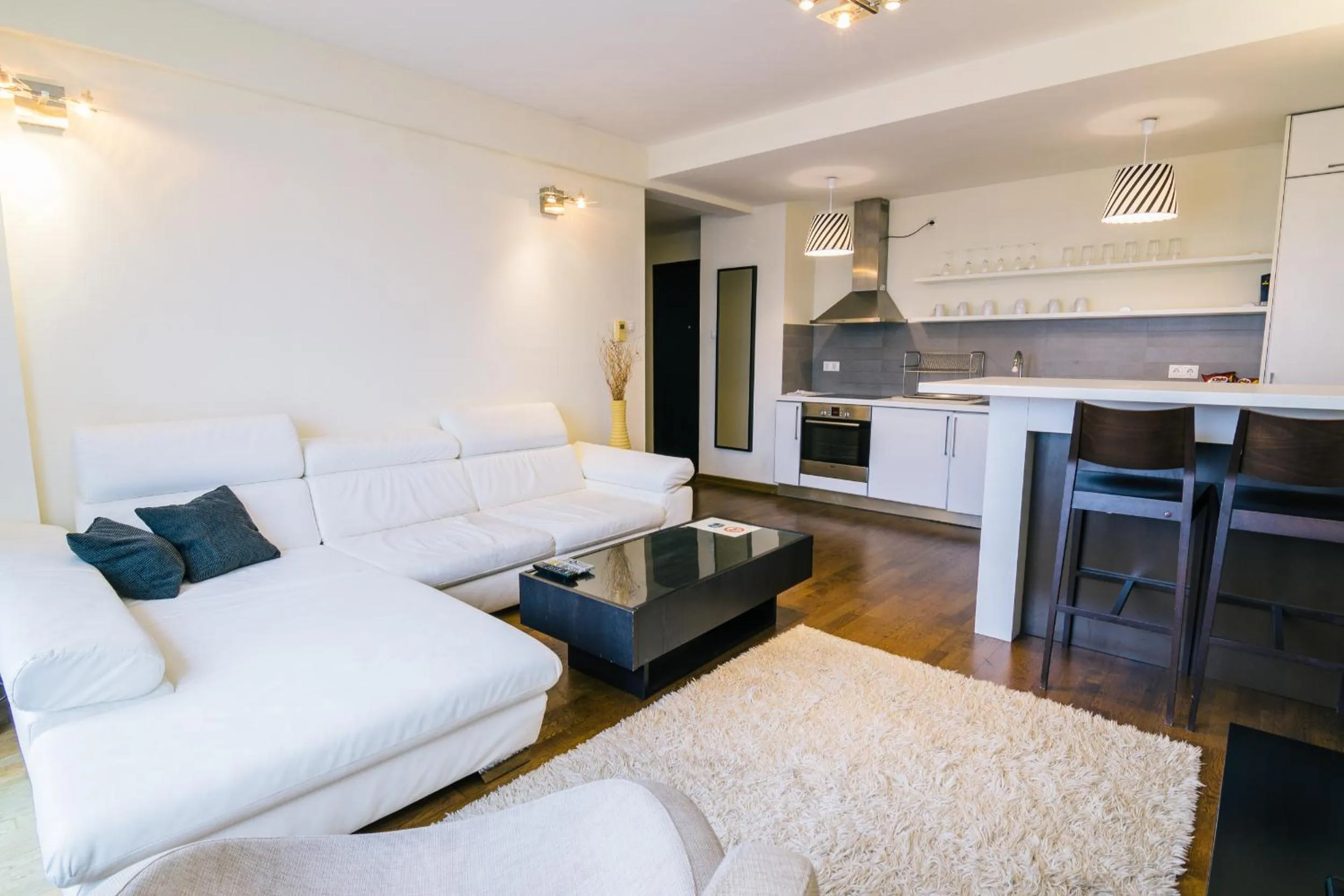 Living room in Luxury Downtown Apartments