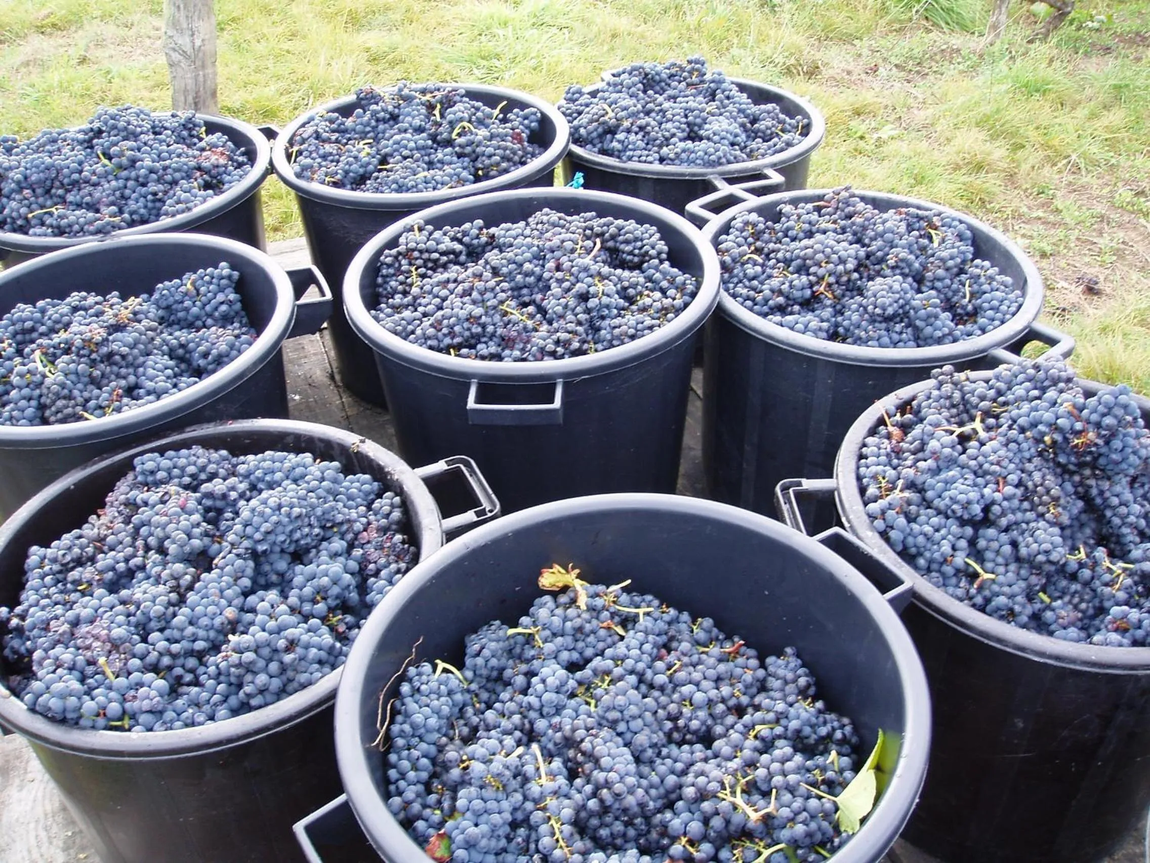 Other in Chateau de la Vieille Chapelle