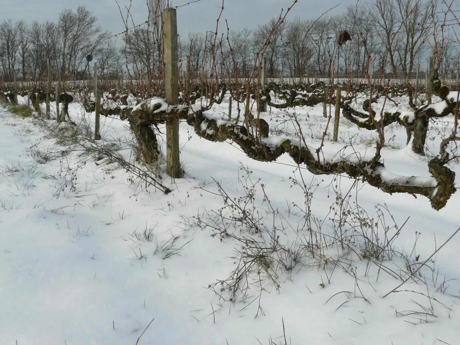 Other in Chateau de la Vieille Chapelle