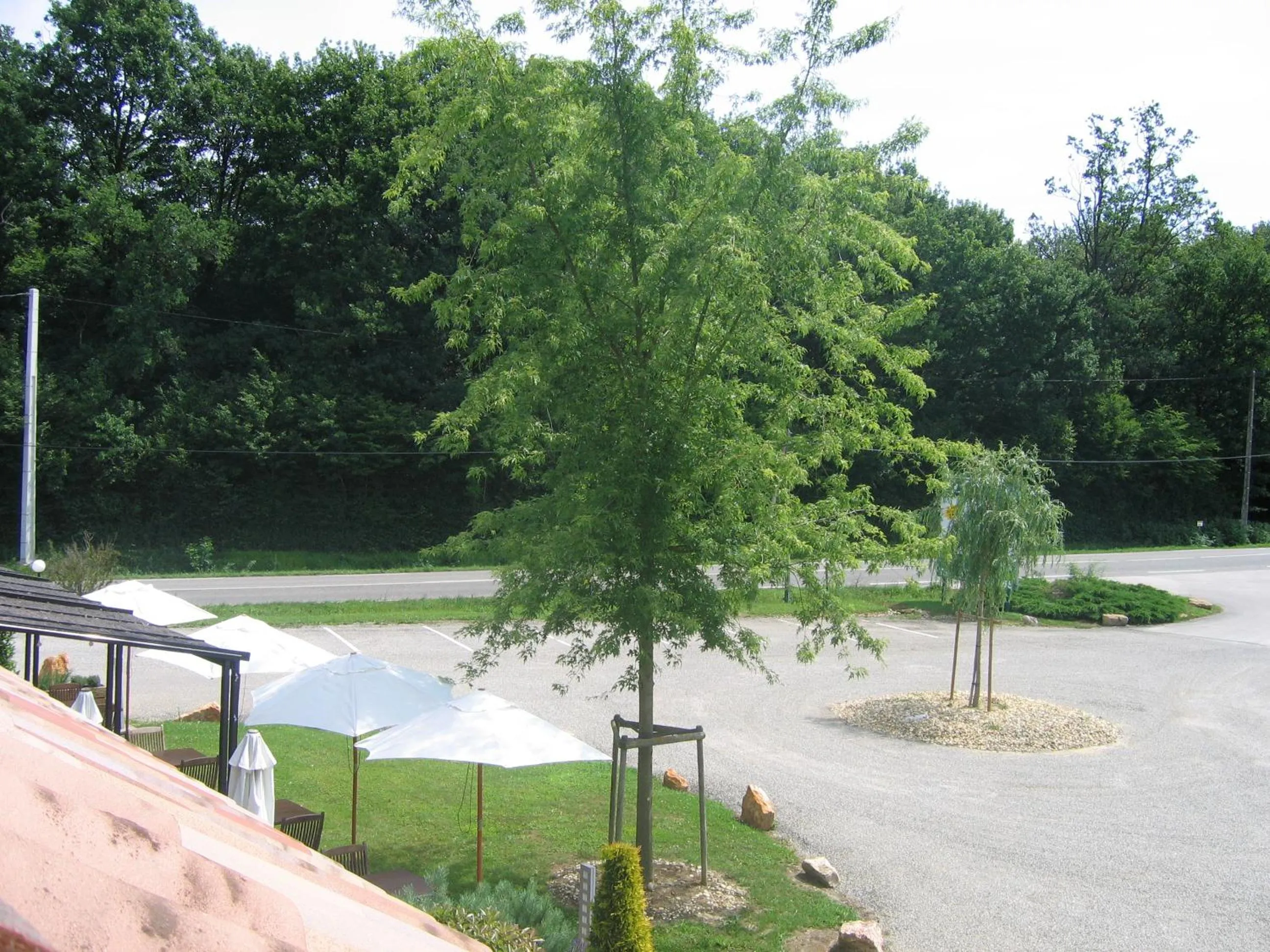 Hôtel Barbier des Bois