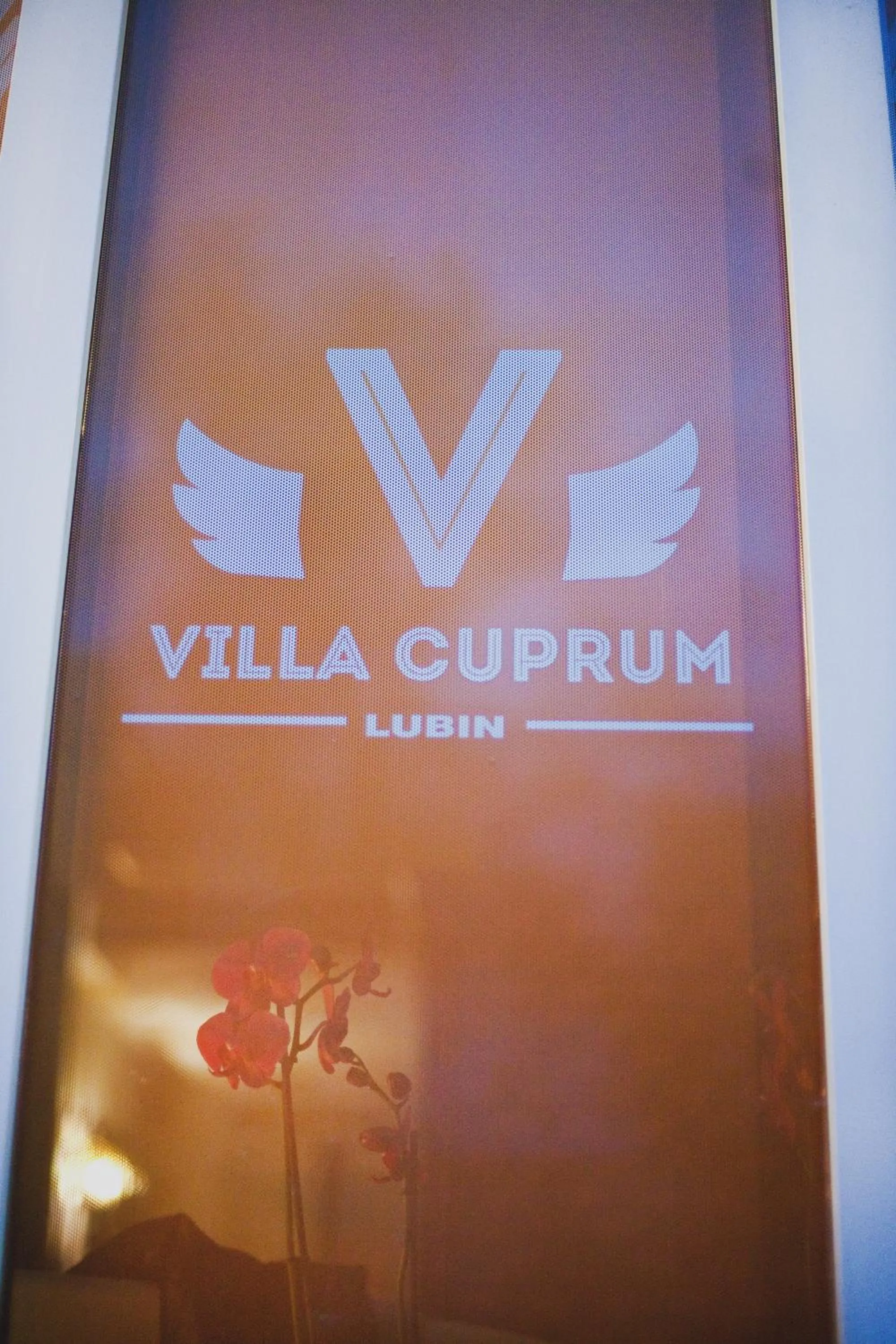 Logo/Certificate/Sign in Villa Cuprum