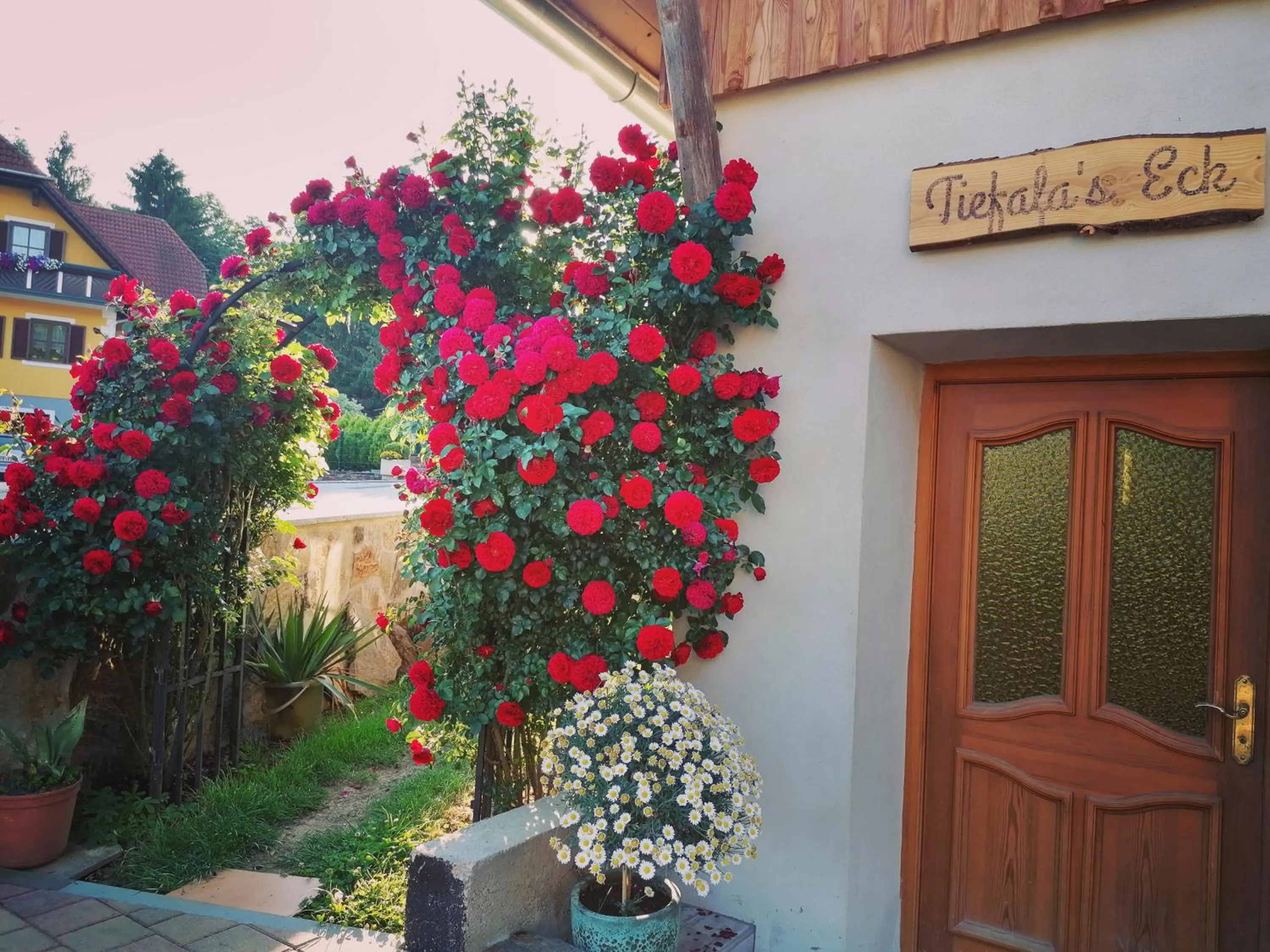 Property building in Tiefala's Eck