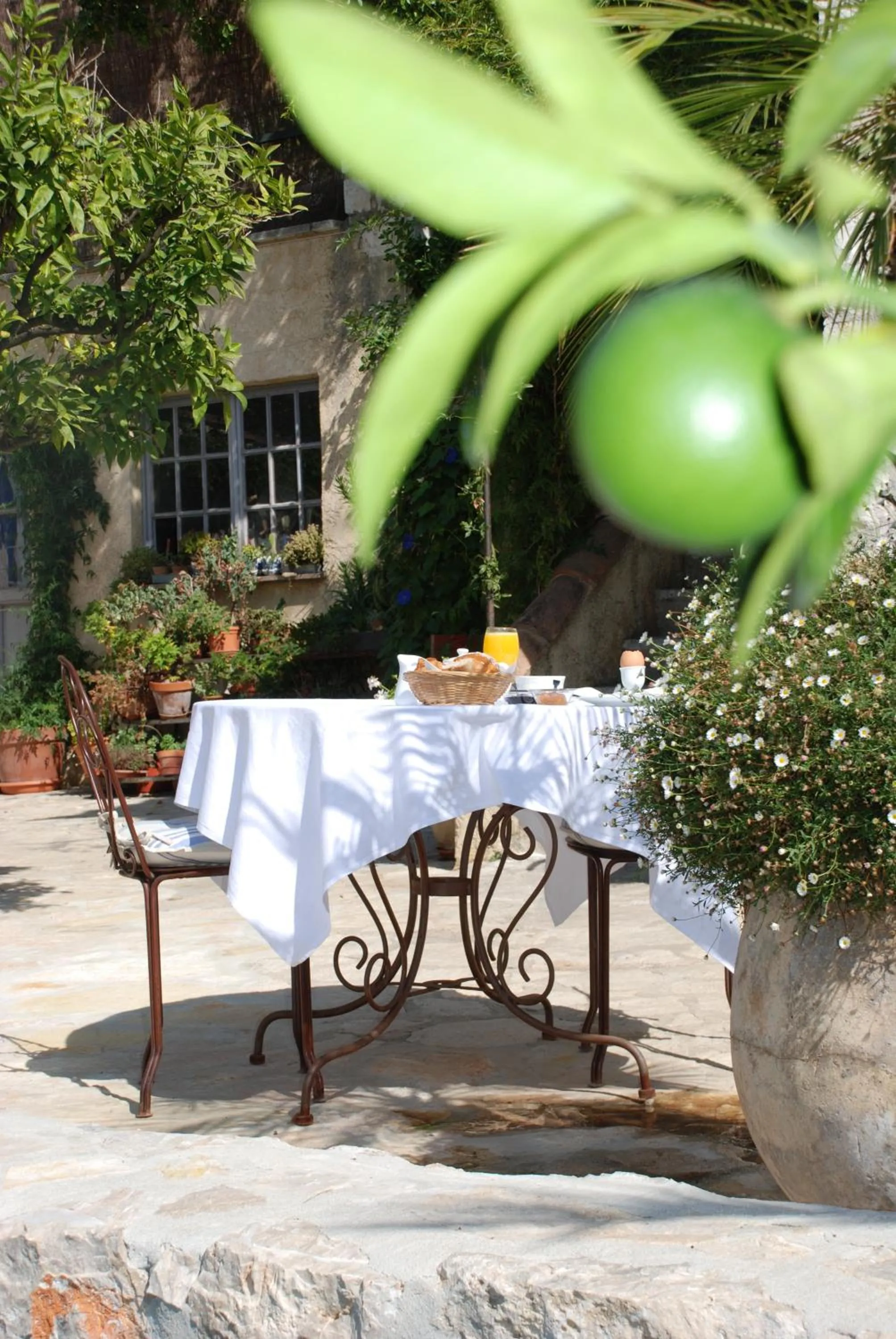 Balcony/Terrace in Les Orangers