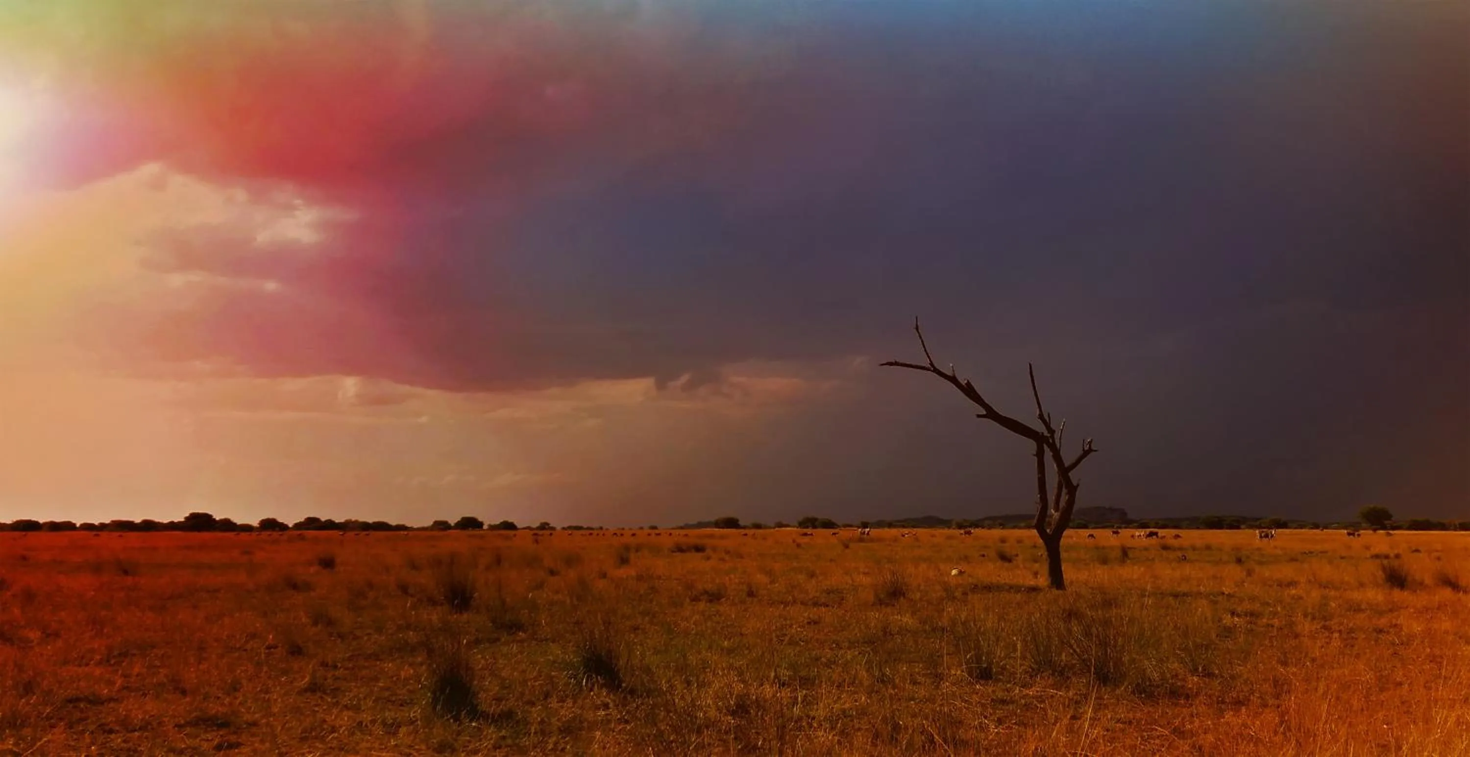 Property building in Zwahili Private Game Lodge & Spa