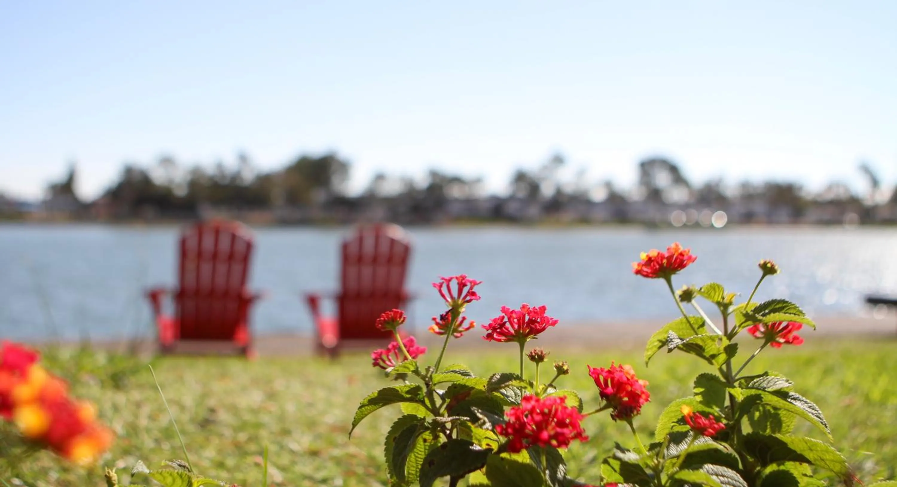 Lake view in Executive Inn & Suites Oakland