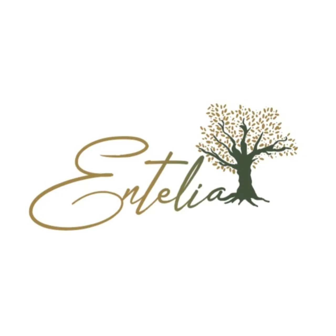 Property logo or sign in Entelia