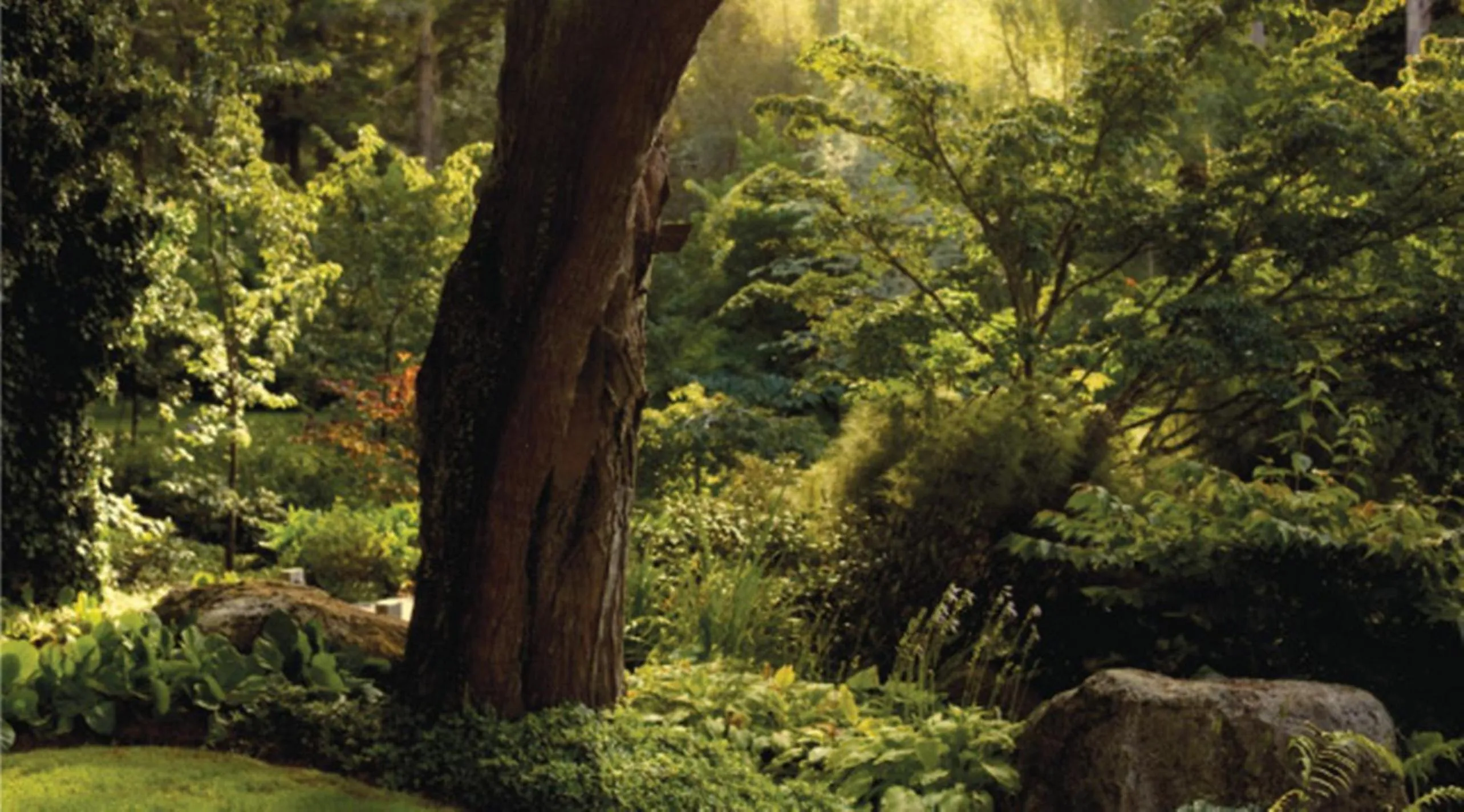 Natural landscape in Huka Lodge