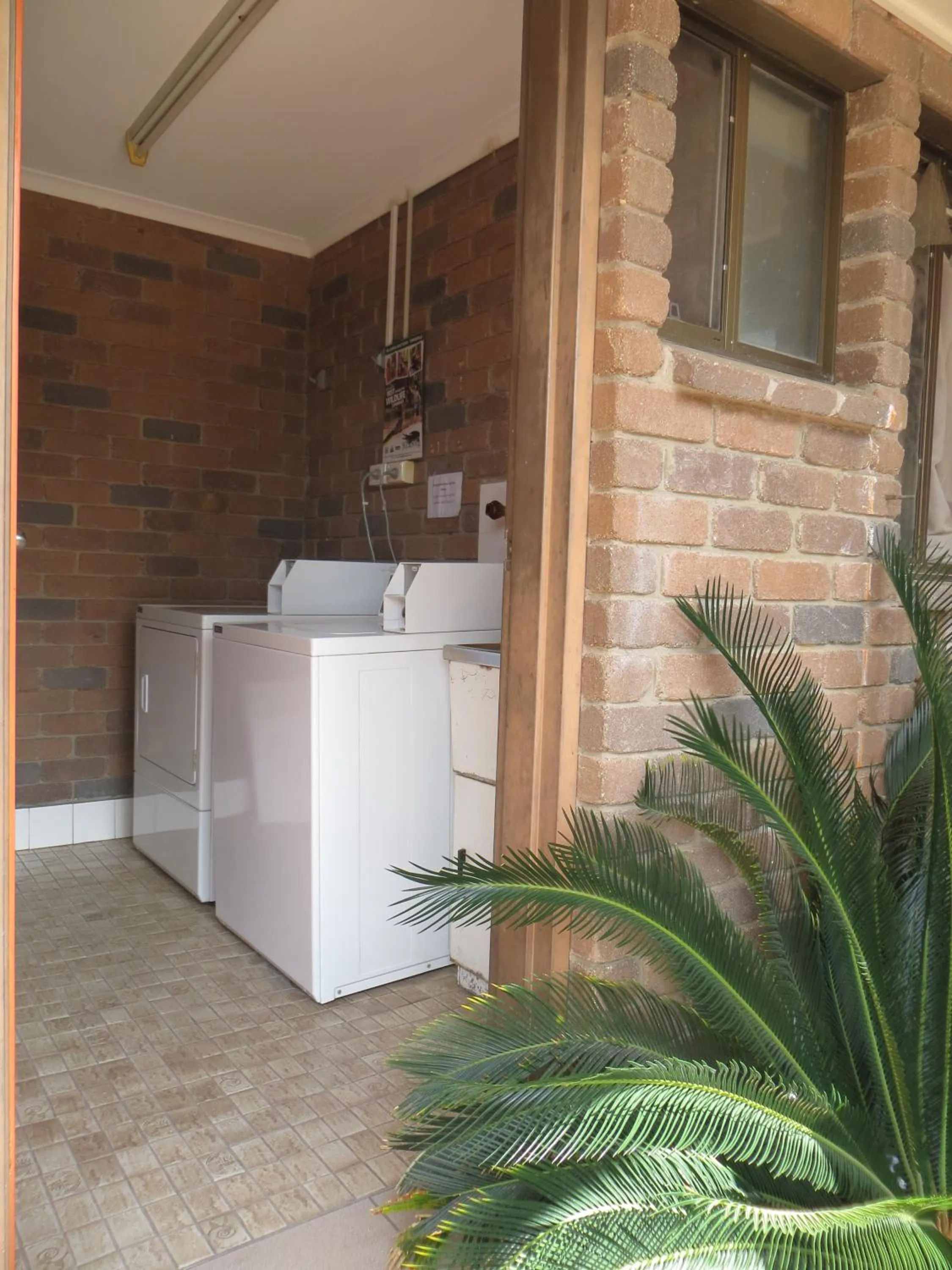 Area and facilities in Cattleman's Rest Motor Inn