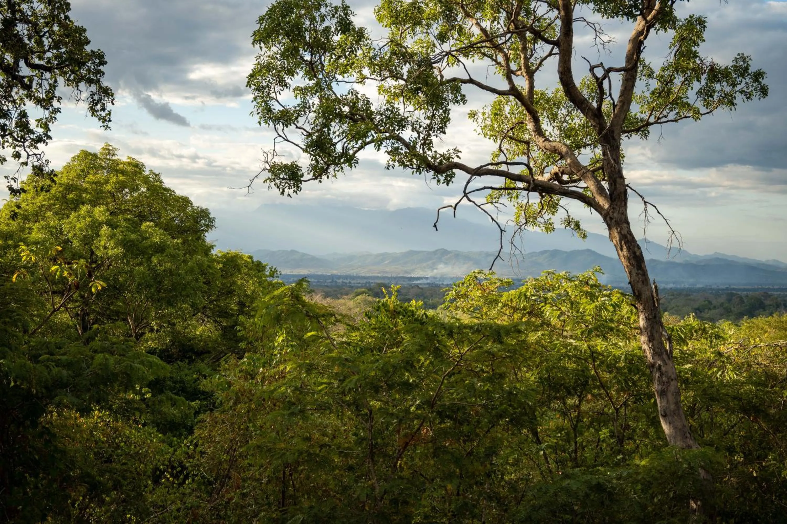 View (from property/room) in Sable Mountain Lodge, A Tent with a View Safaris