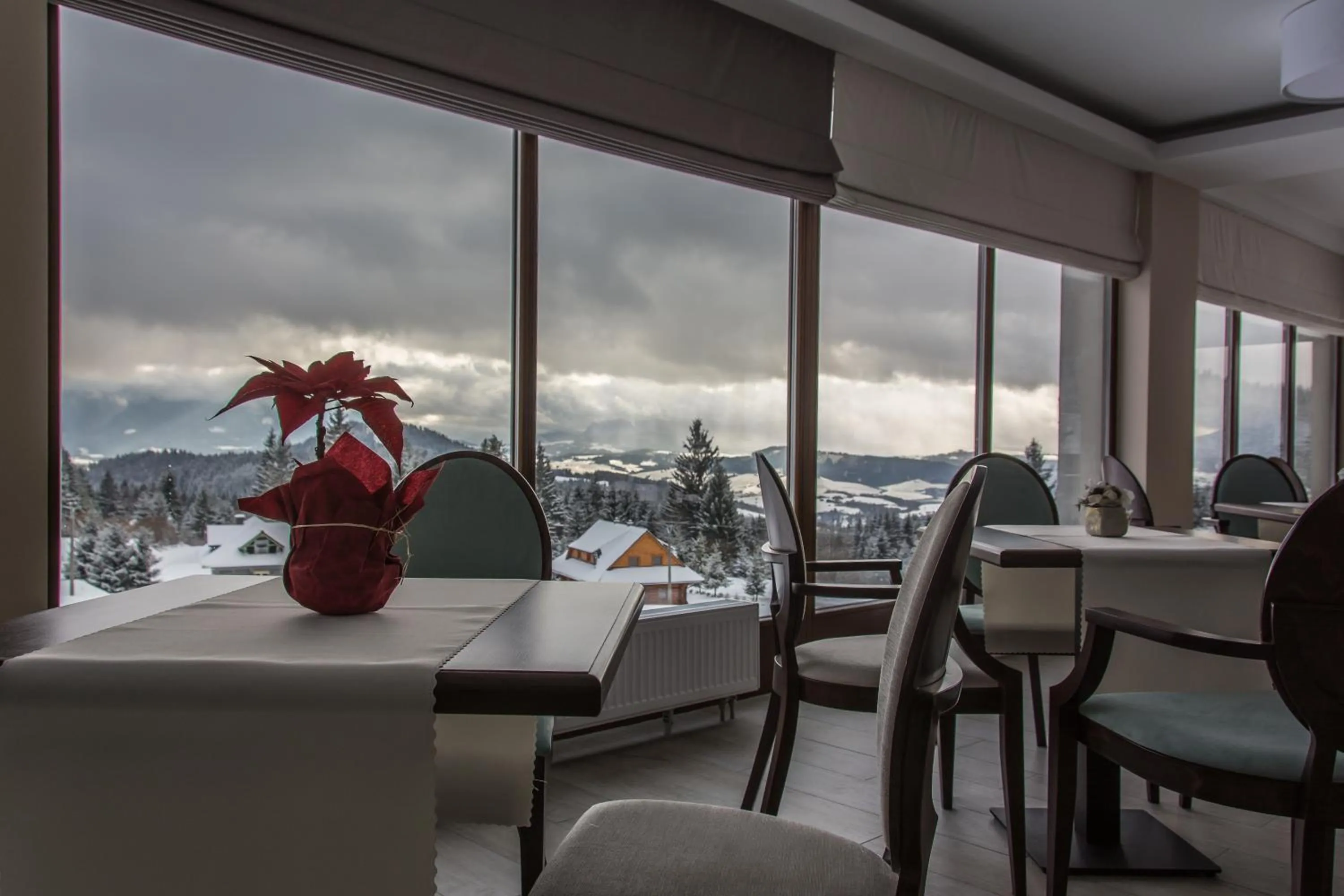 Lounge or bar in Hotel Green