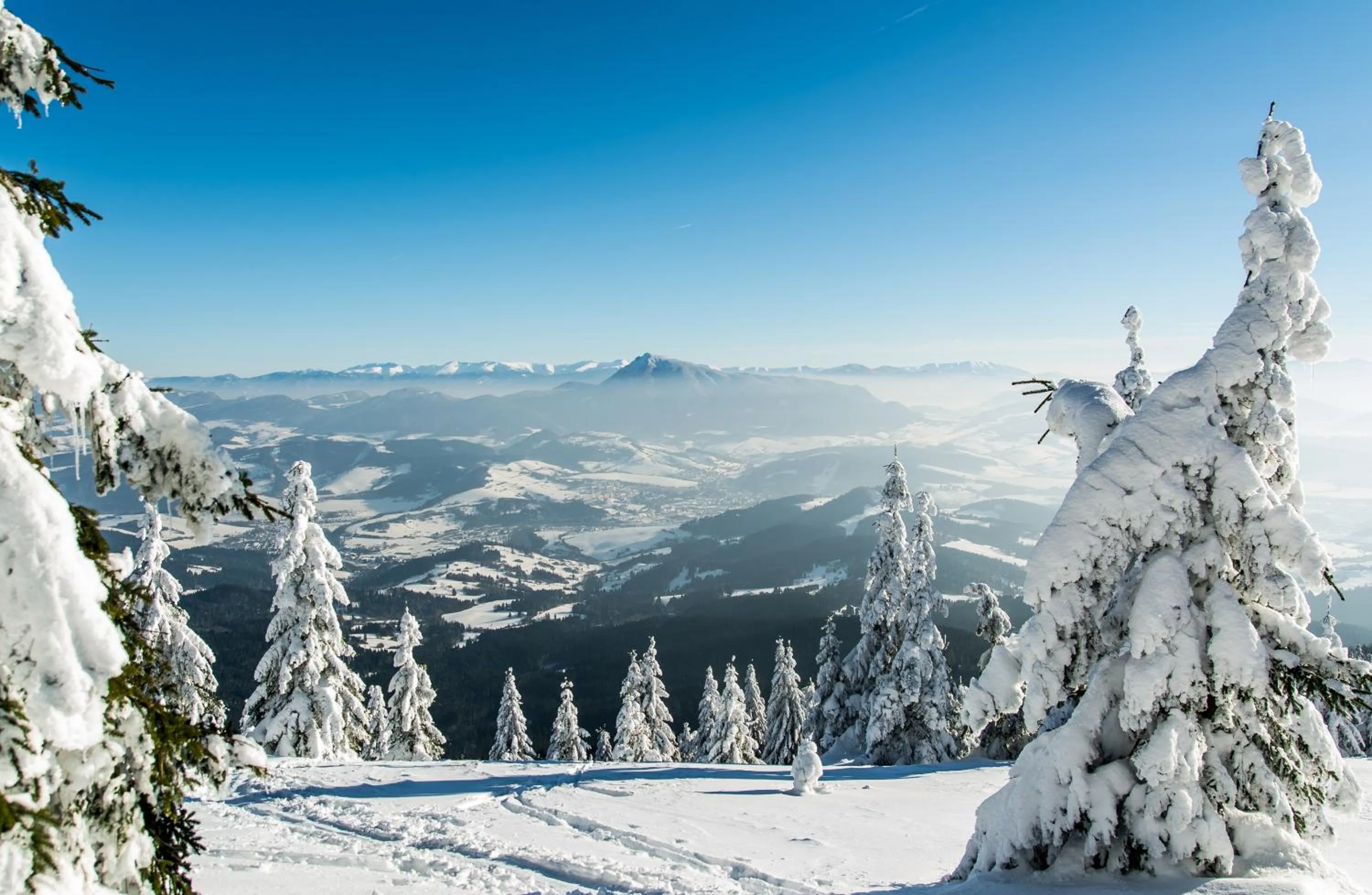 Off site in Hotel Green