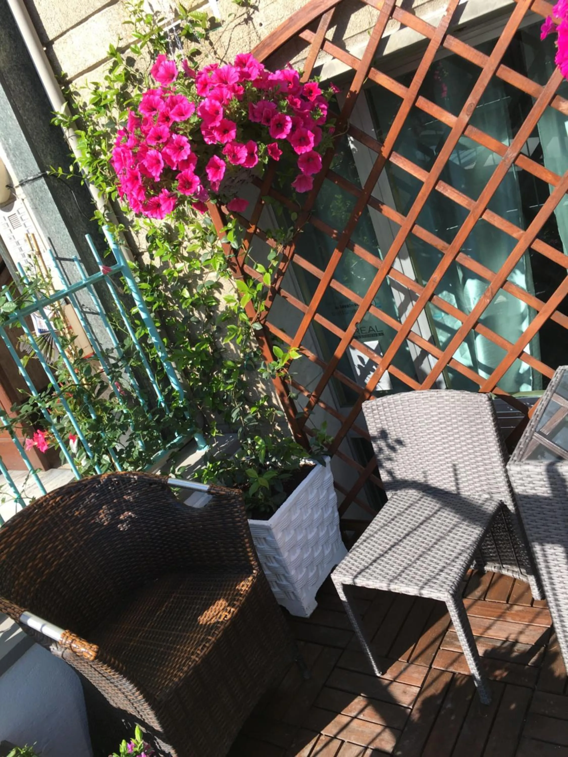 Balcony/Terrace in Hotel Gabbiano