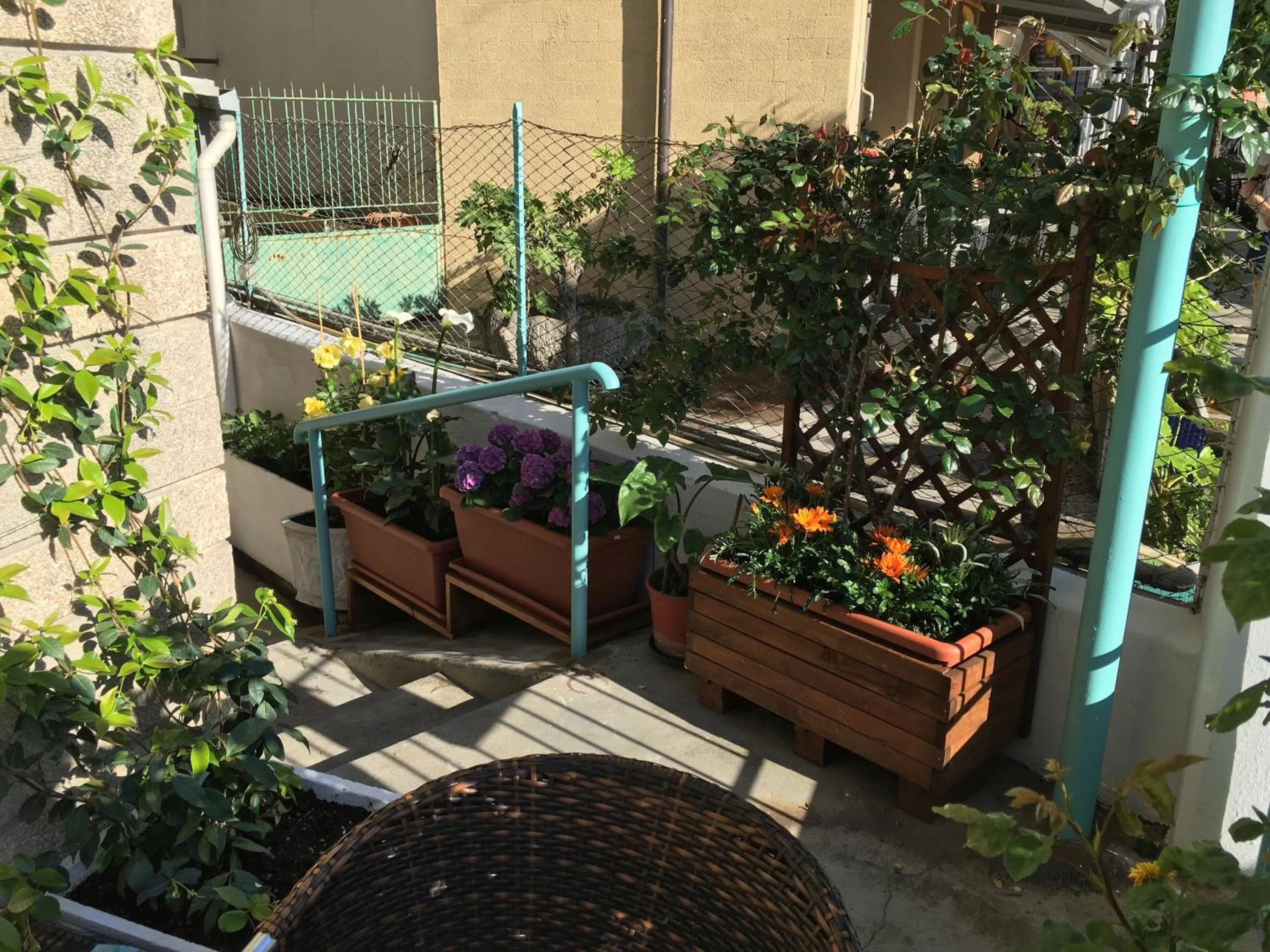 Balcony/Terrace in Hotel Gabbiano