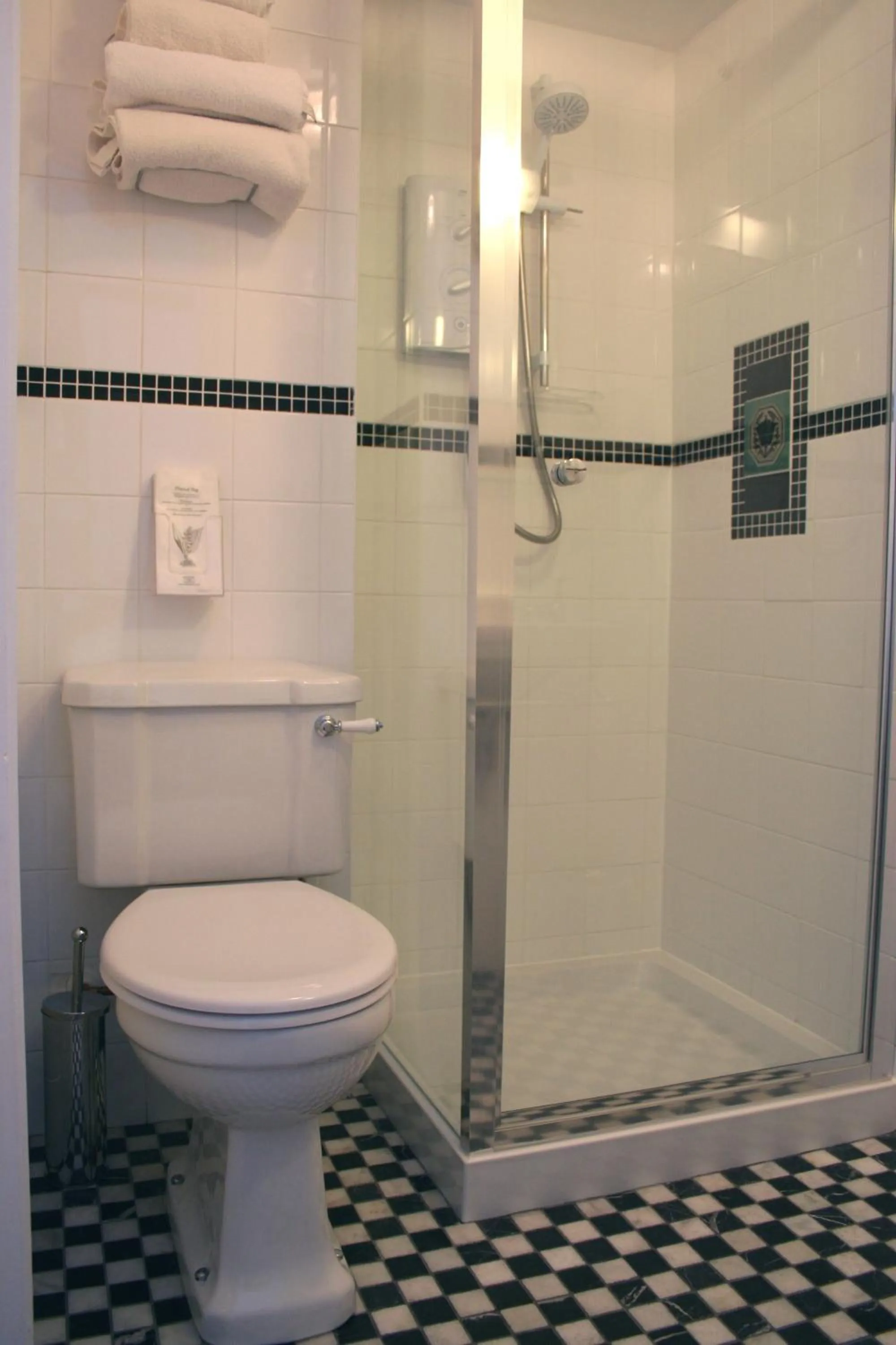 Toilet in The Telstar