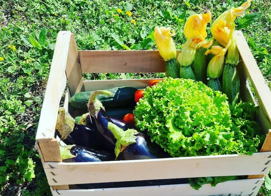 Food close-up in Agriturismo Casa Rosa