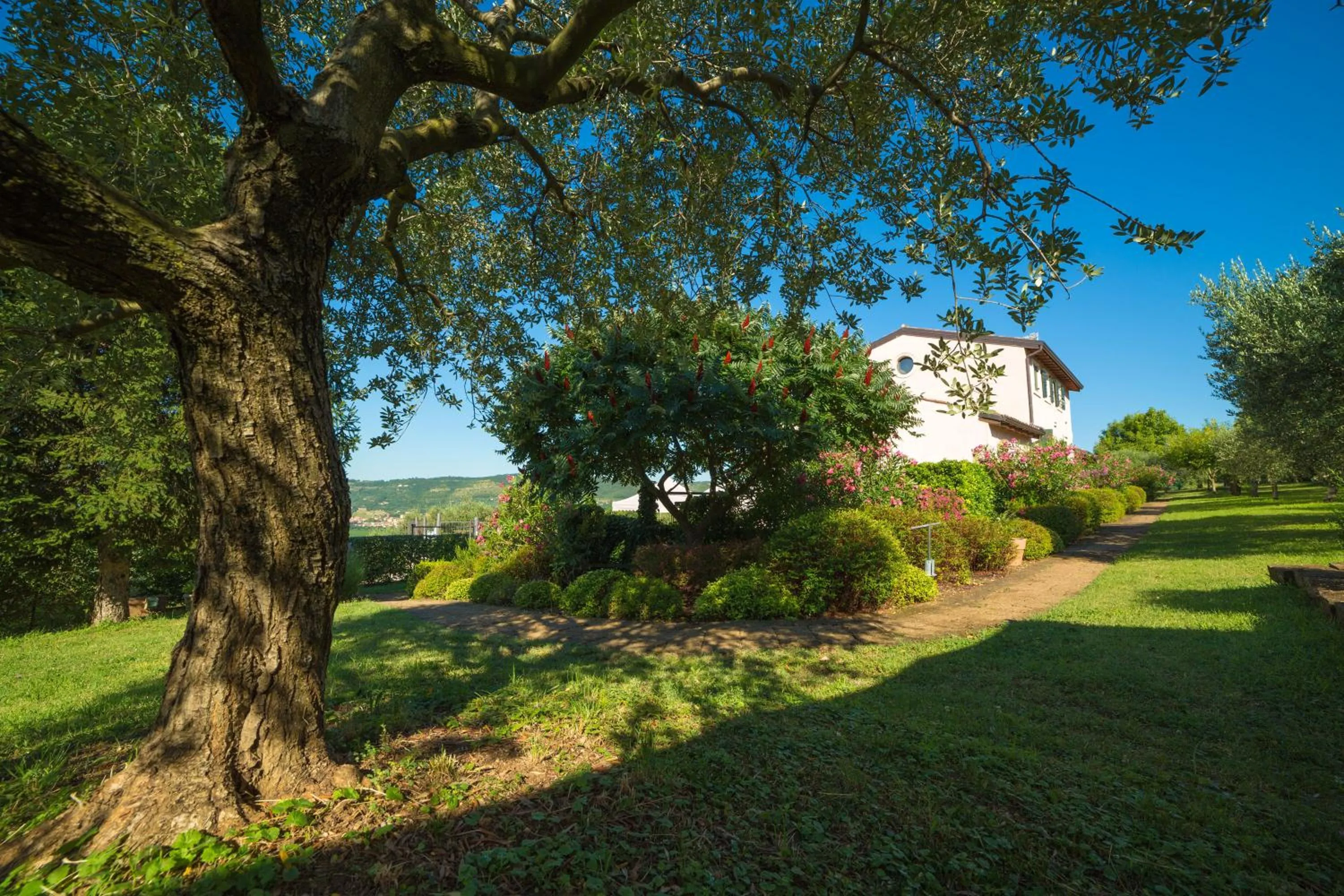 Garden in Agriturismo Casa Rosa