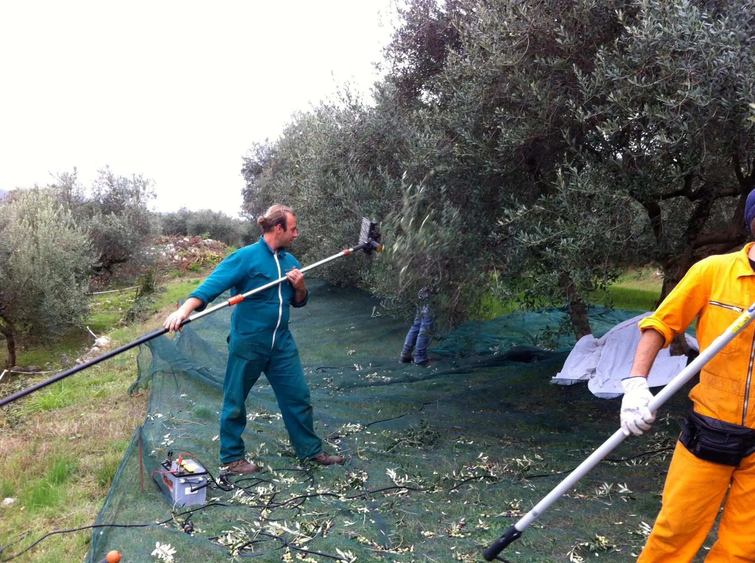 Area and facilities in Agriturismo Casa Rosa