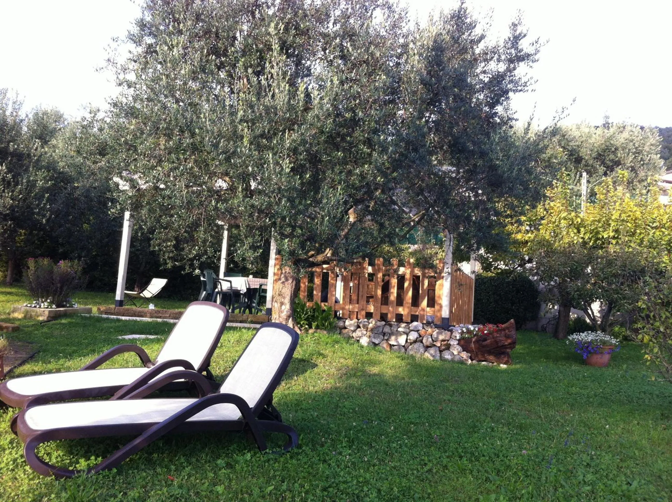 Garden in Agriturismo Casa Rosa
