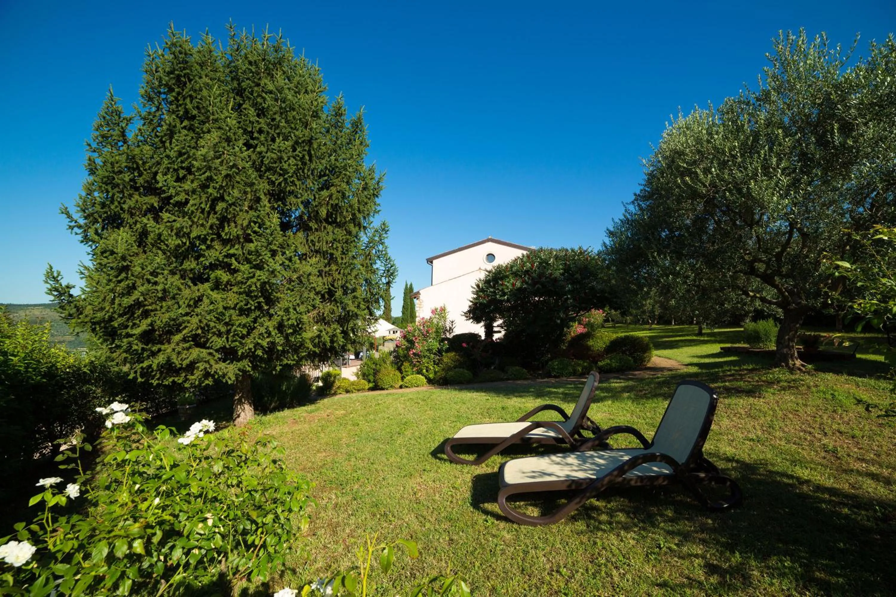 Garden in Agriturismo Casa Rosa